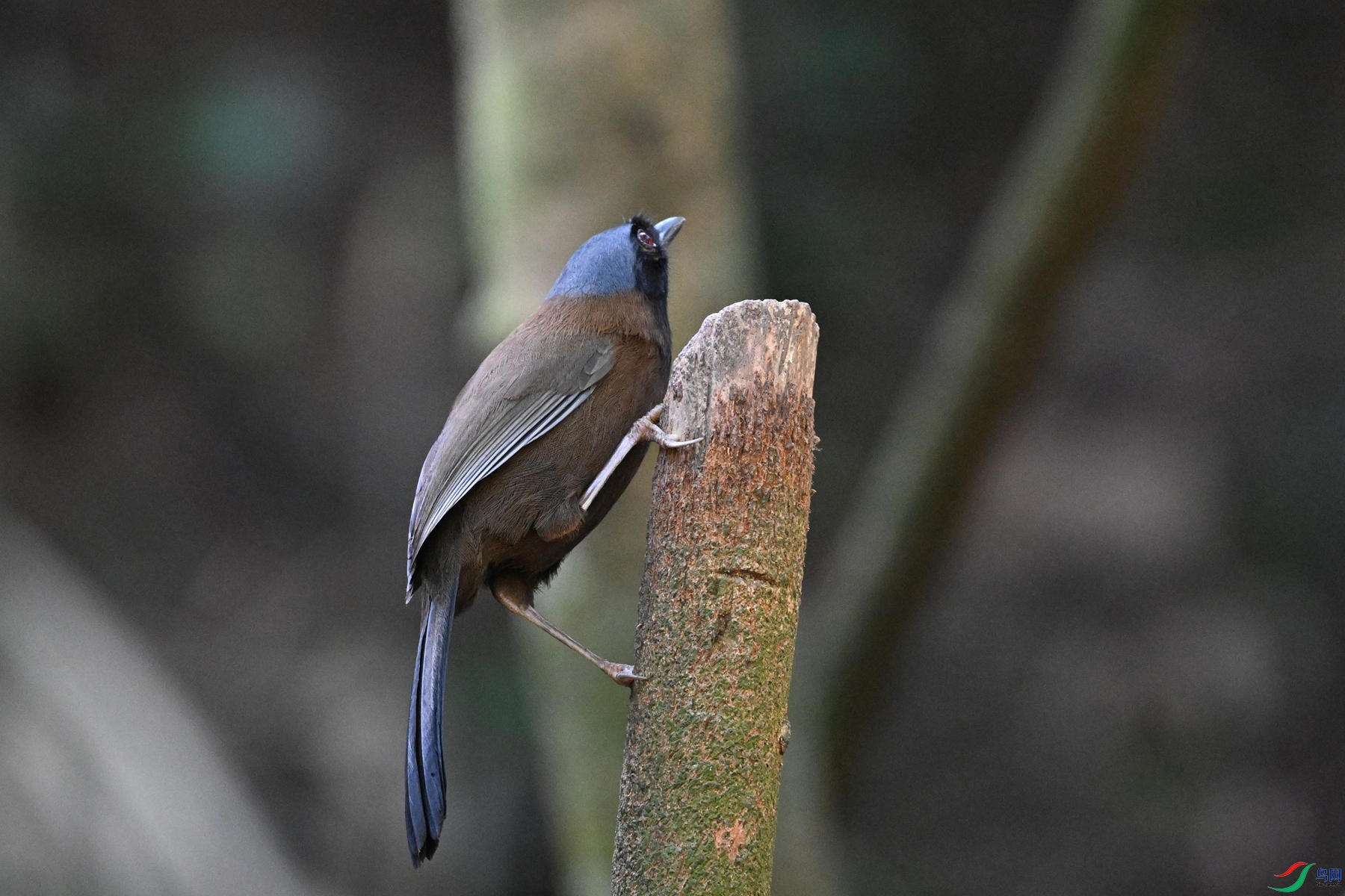 DSC_6533.JPG