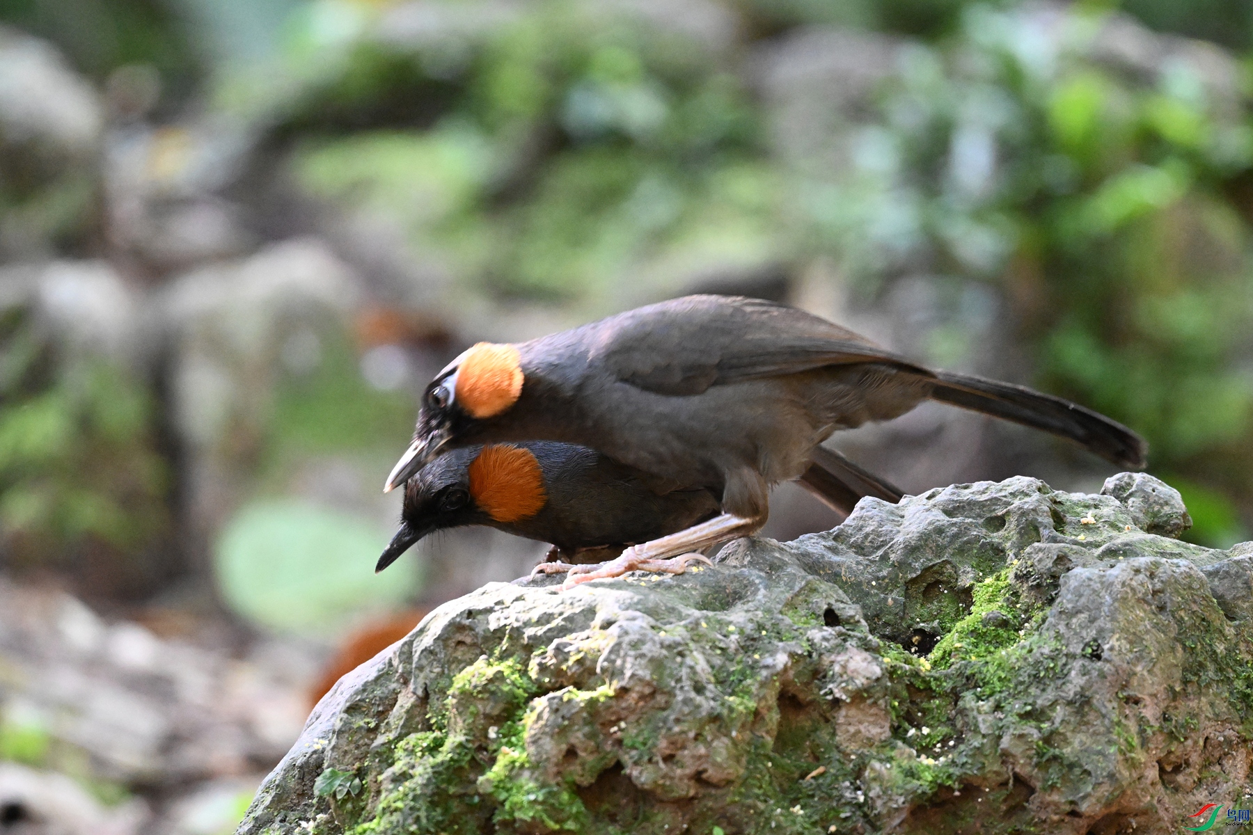DSC_6495.JPG