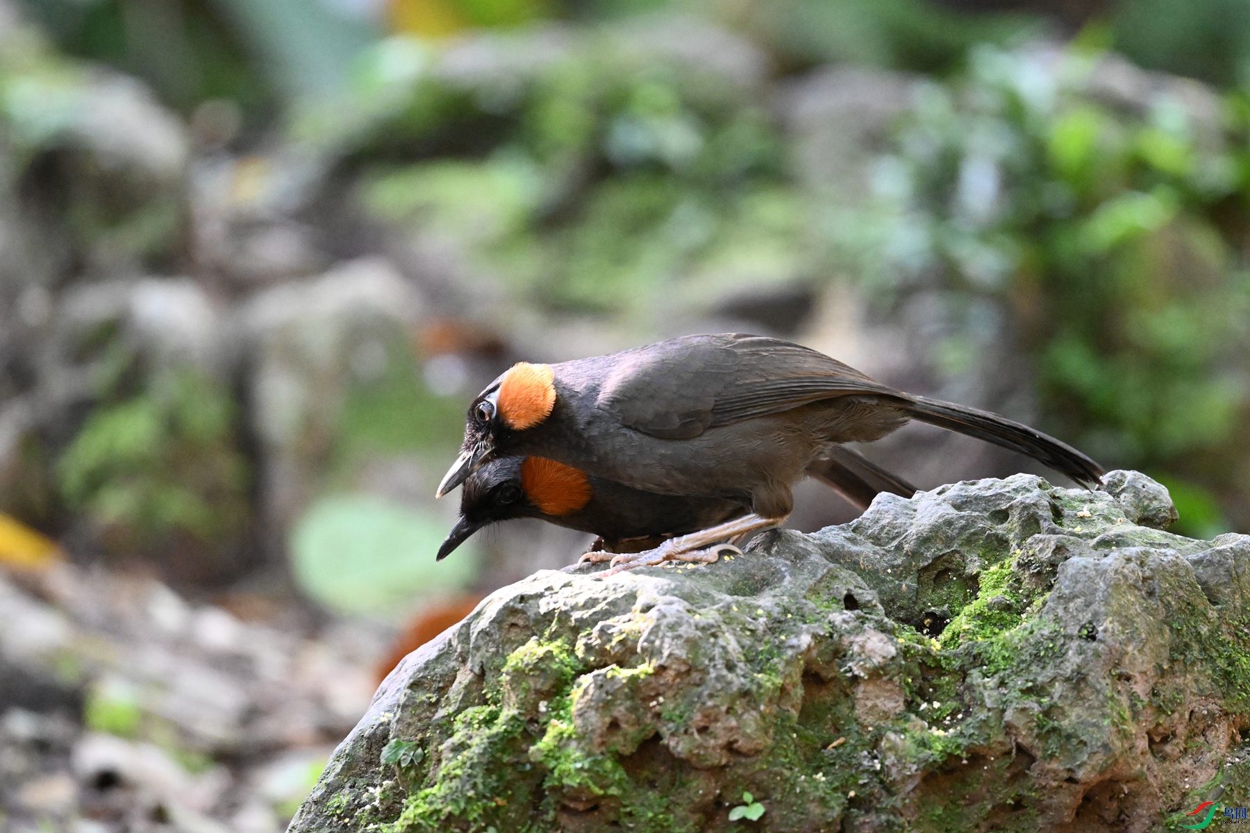 DSC_6496.JPG