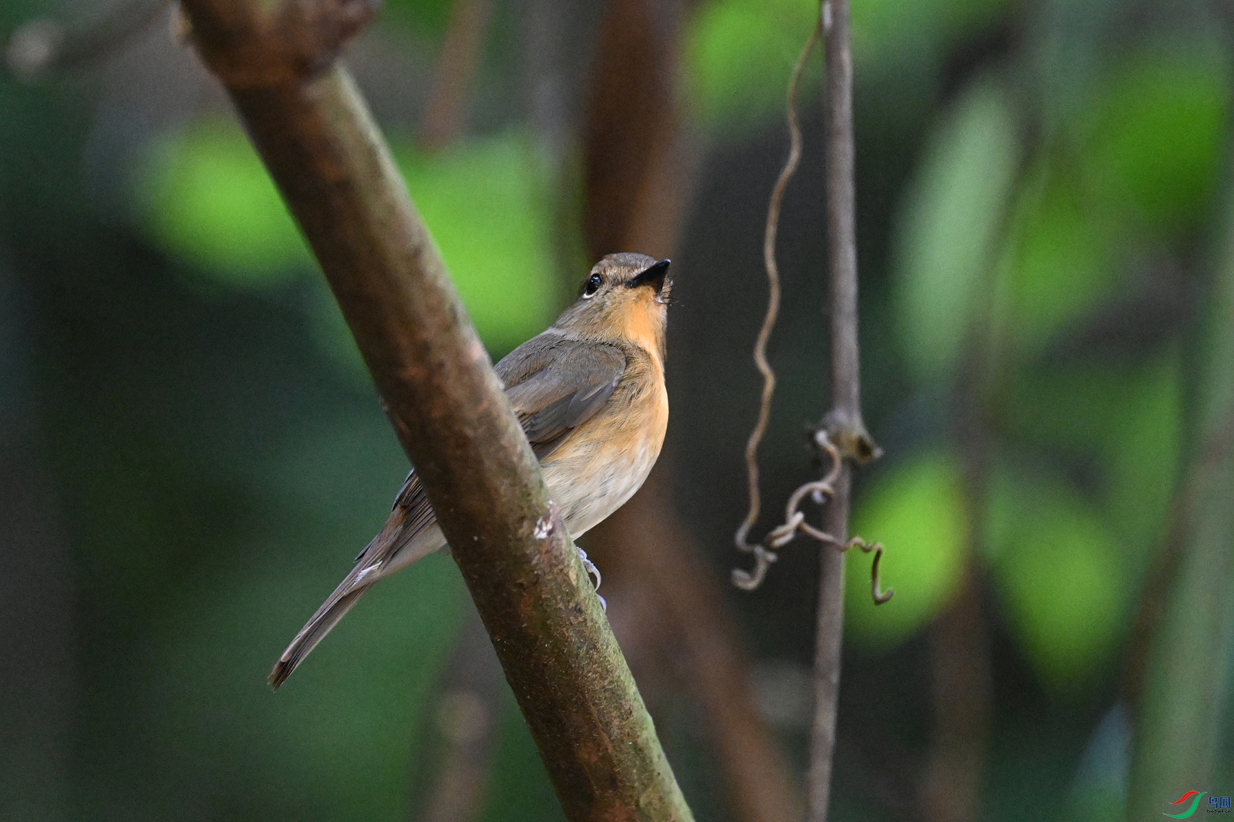 DSC_6526.JPG