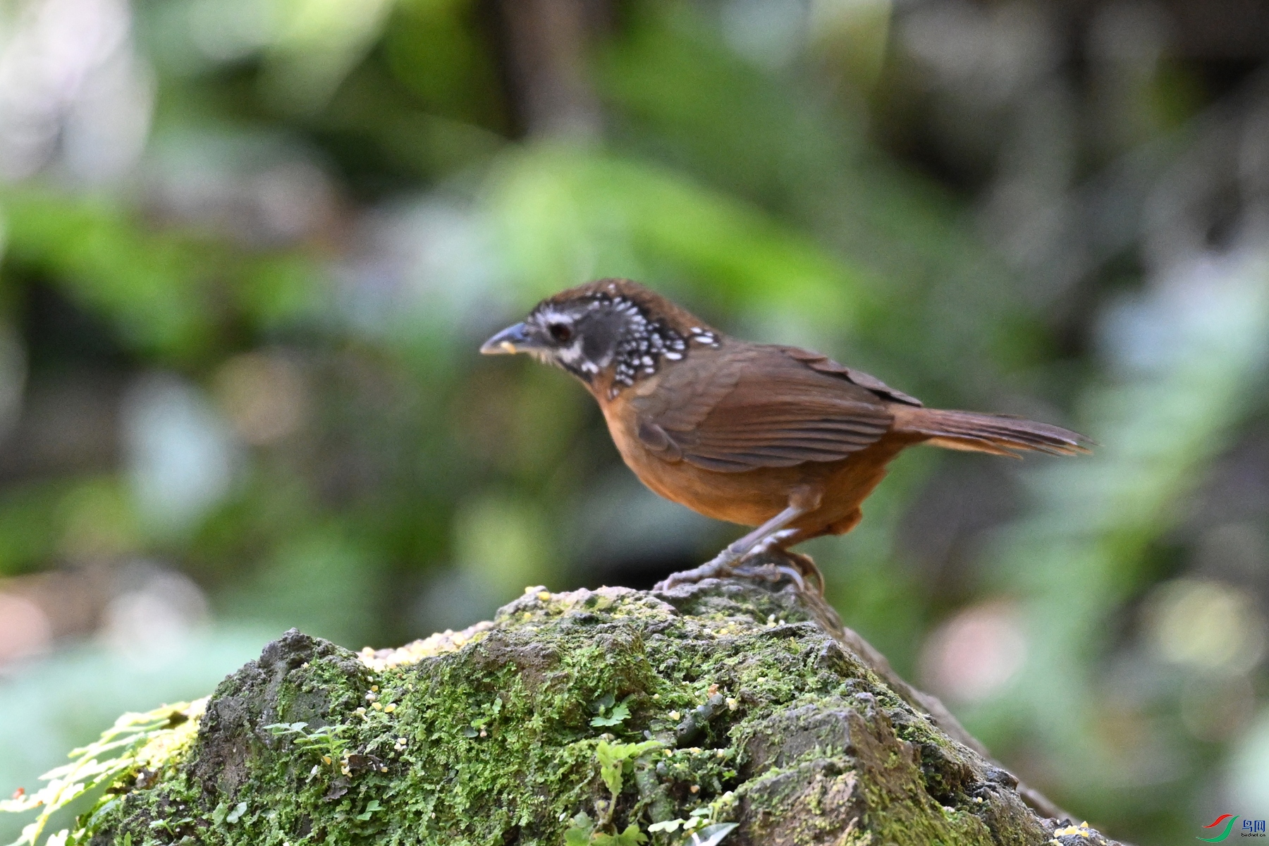 DSC_6538.JPG