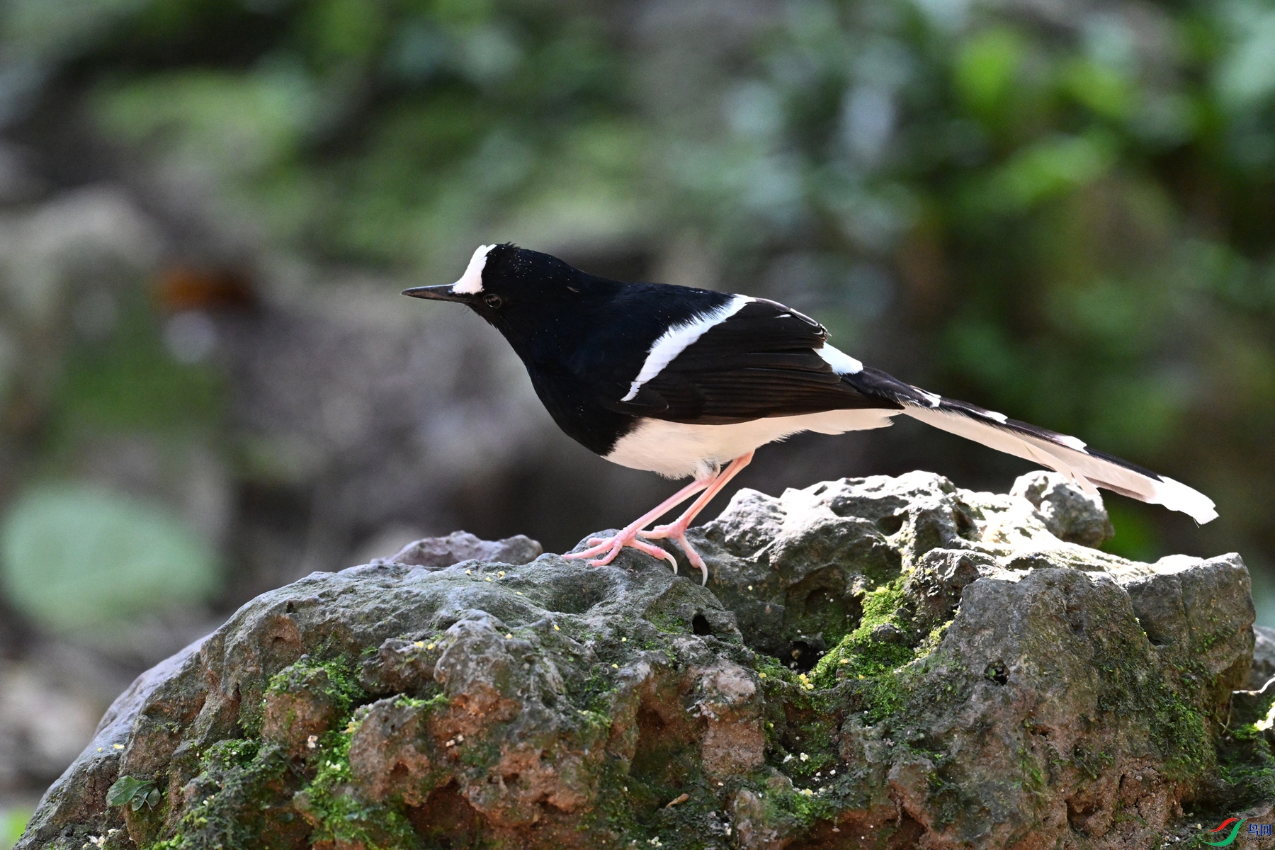 DSC_6554.JPG