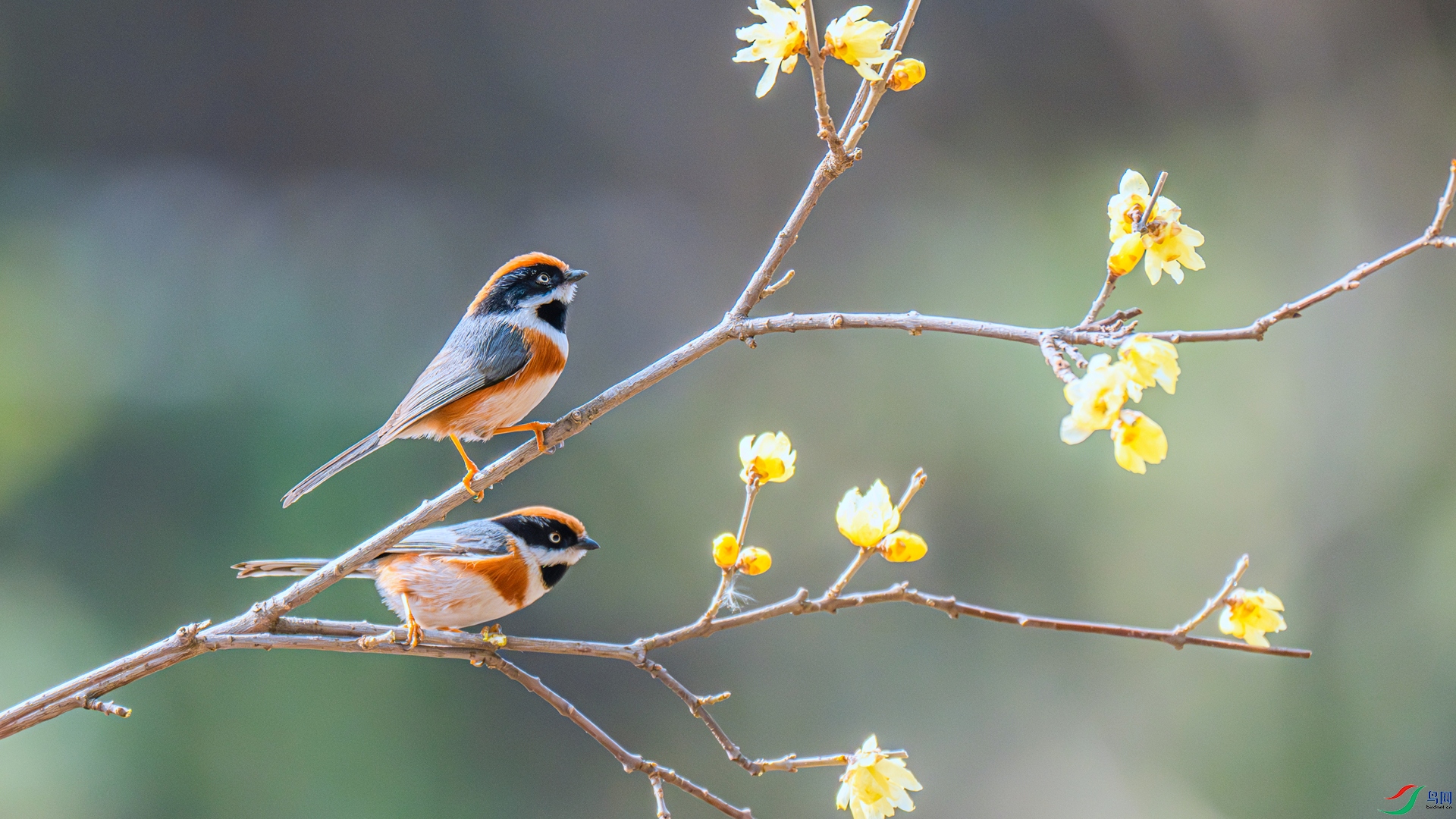 DSC_5903 ����_����.jpg