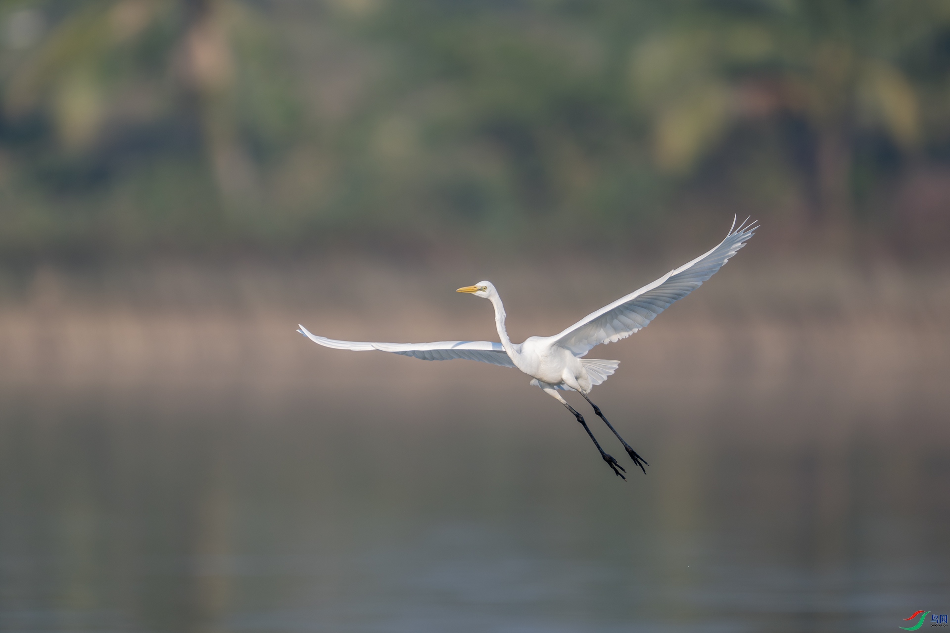 DSC_1044-1.jpg