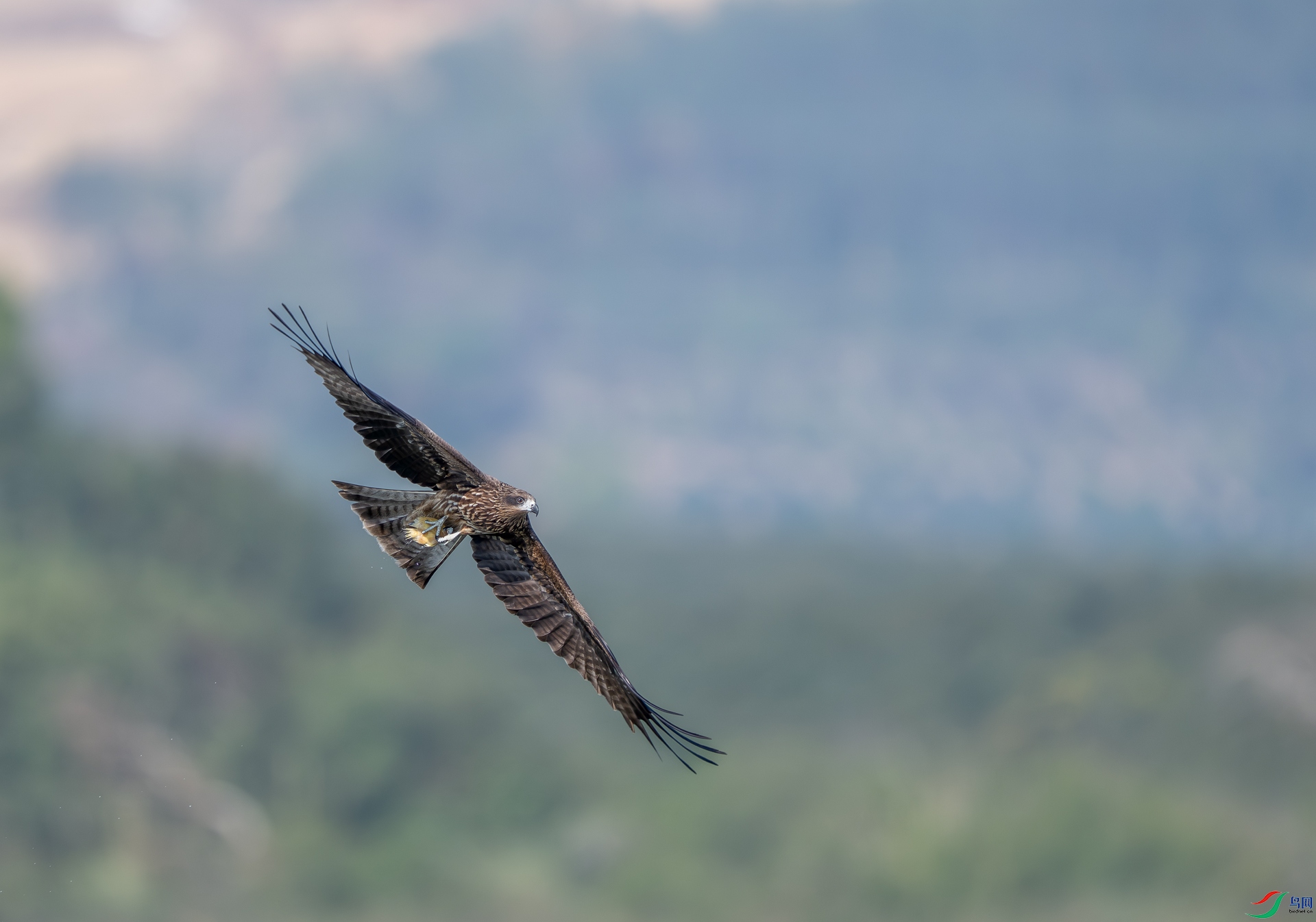 DSC_1261-1.jpg