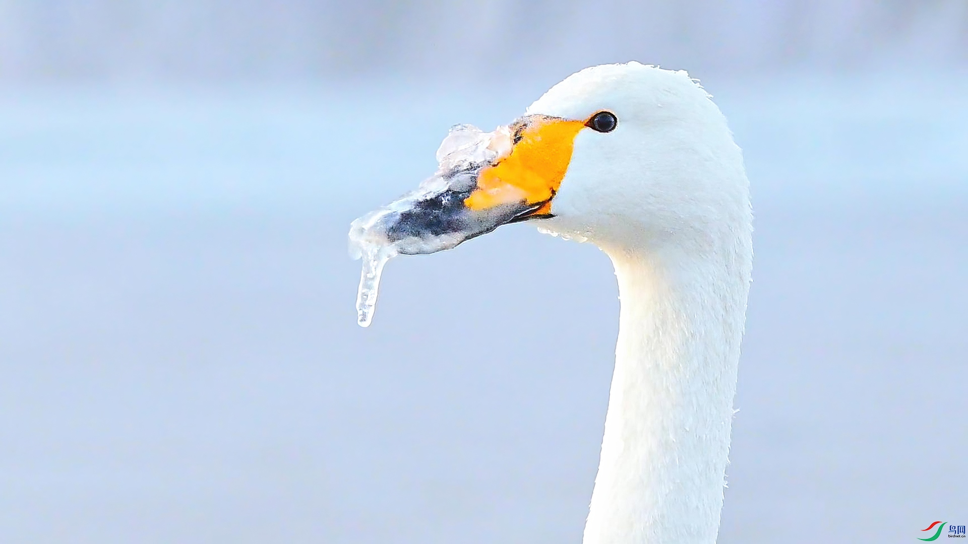 2��3�� (1)-����.jpg