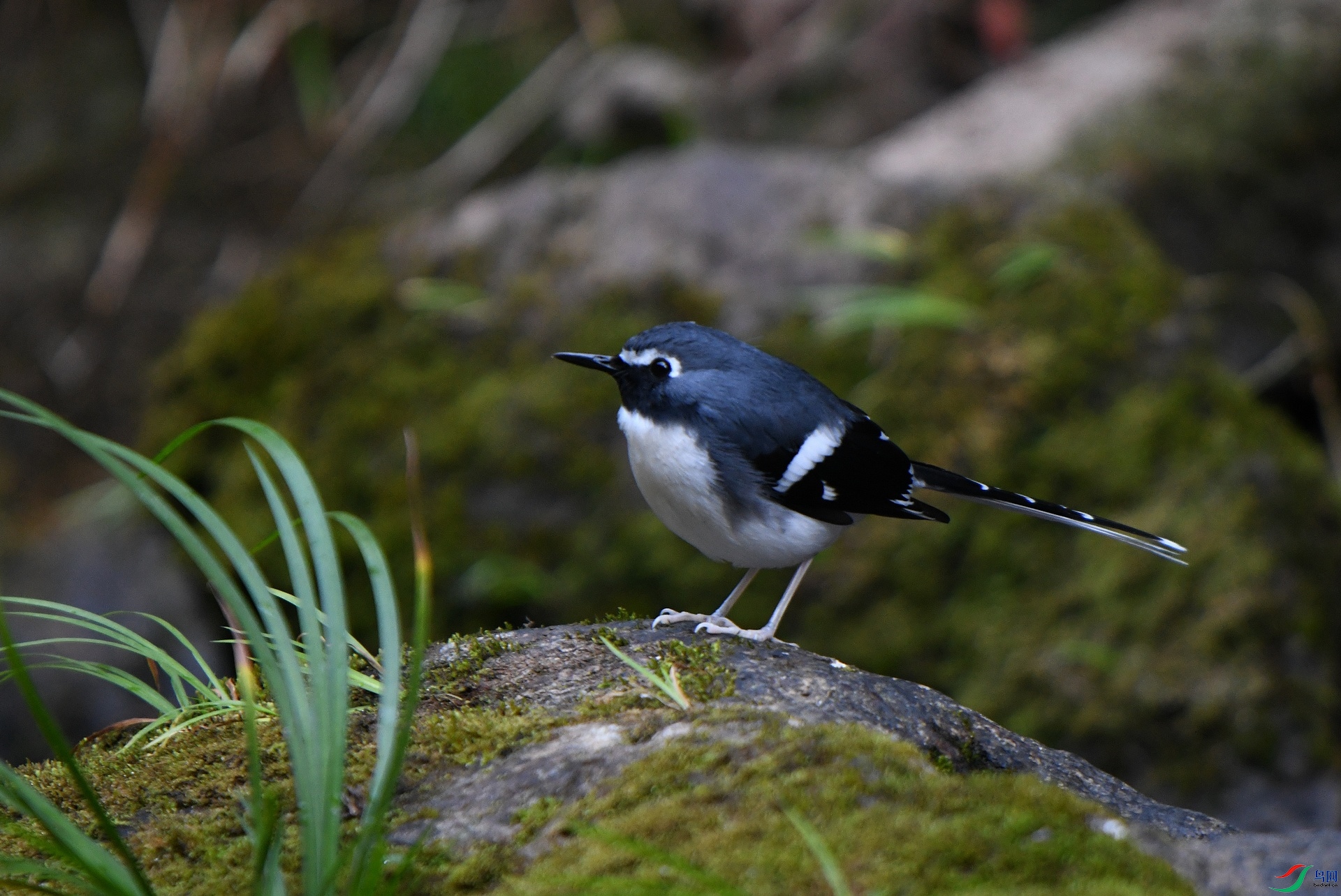 DSC_0328.jpg