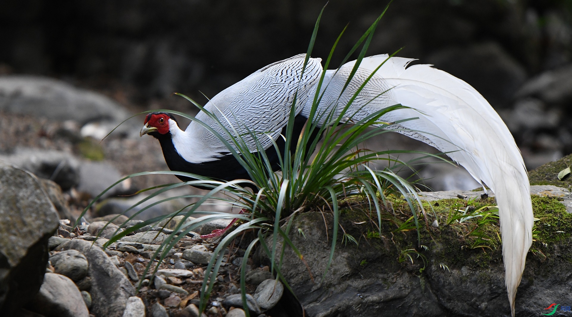DSC_0707.jpg