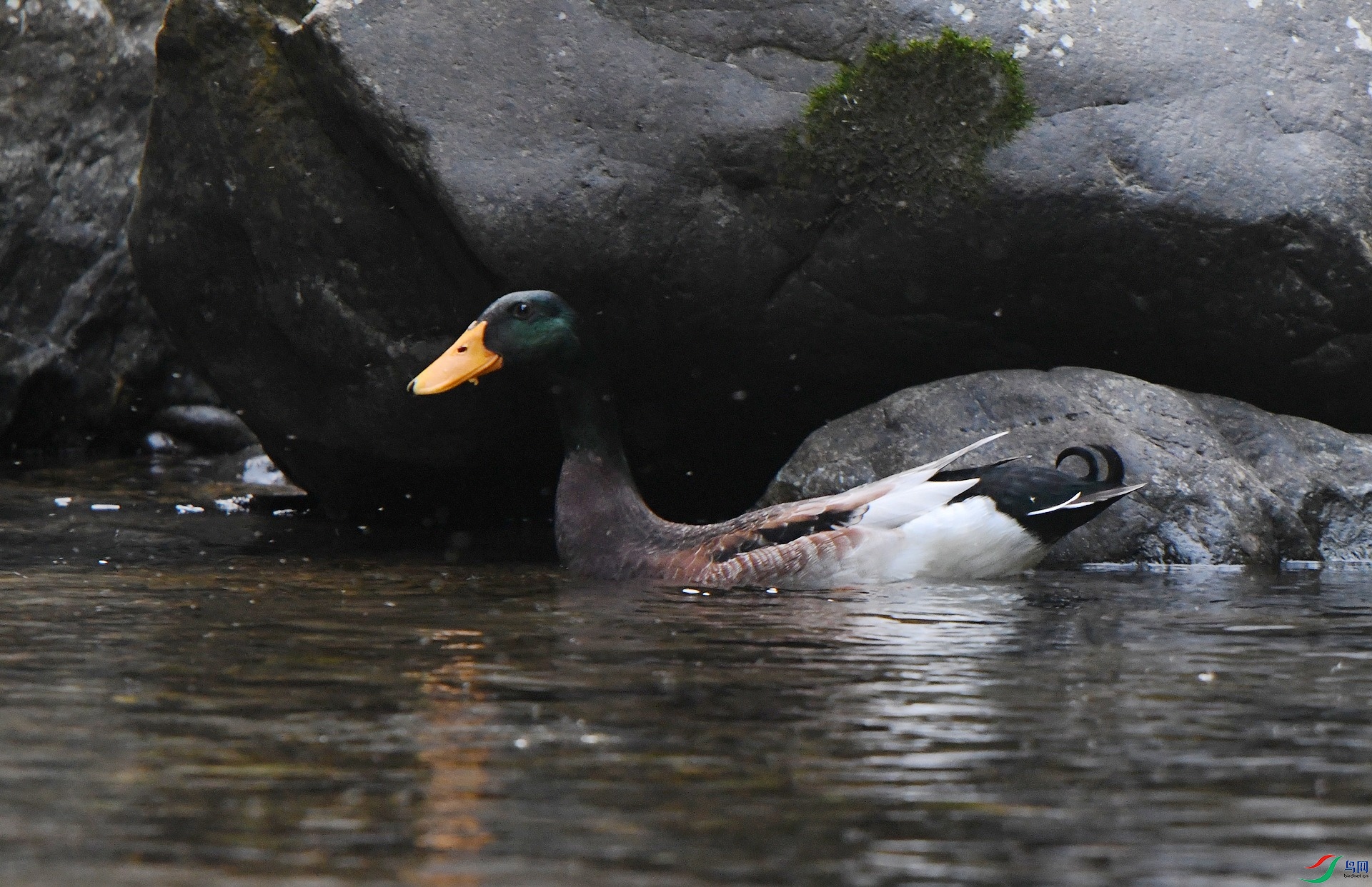 DSC_1069.jpg