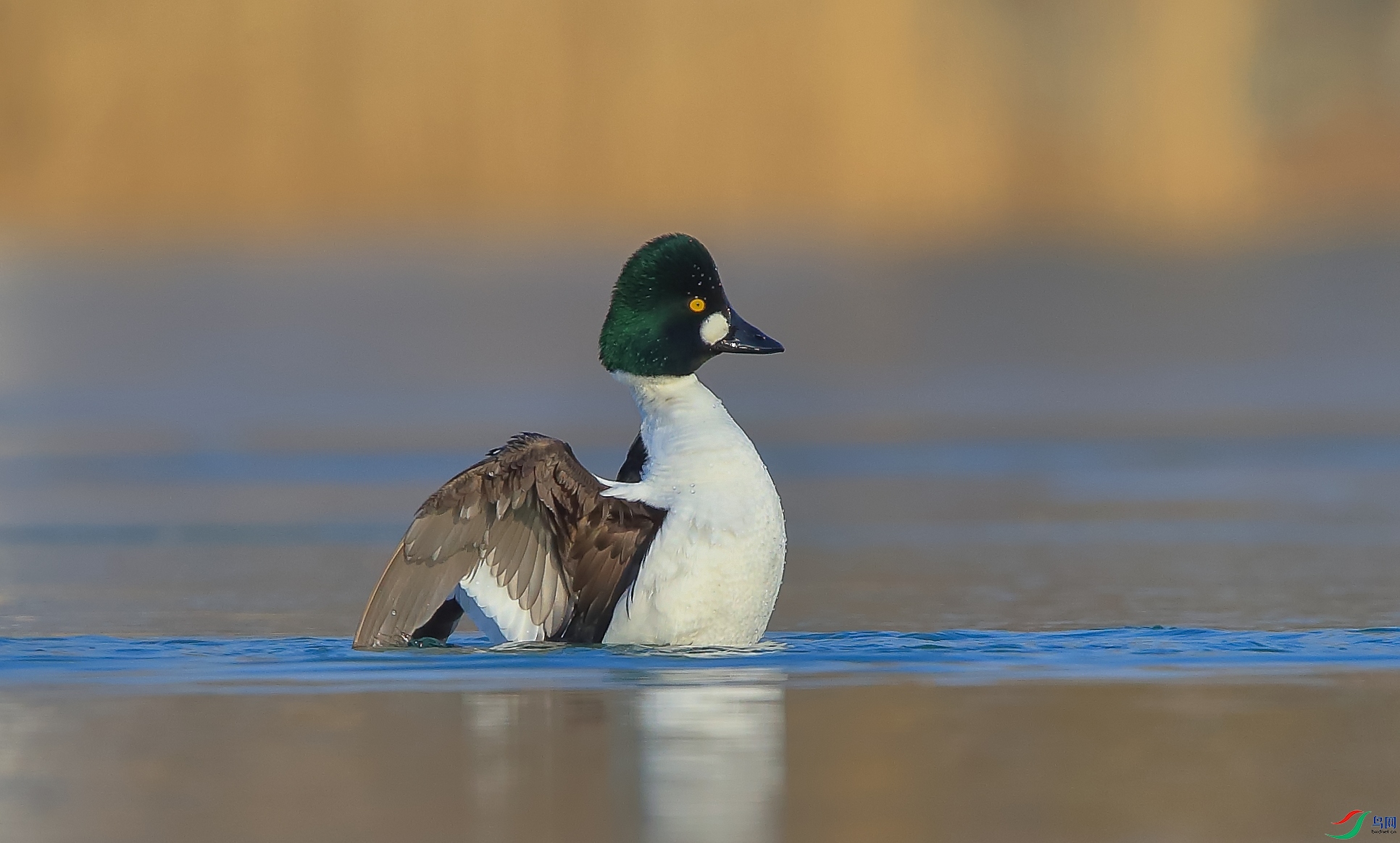 AM6Y0177 ����.jpg