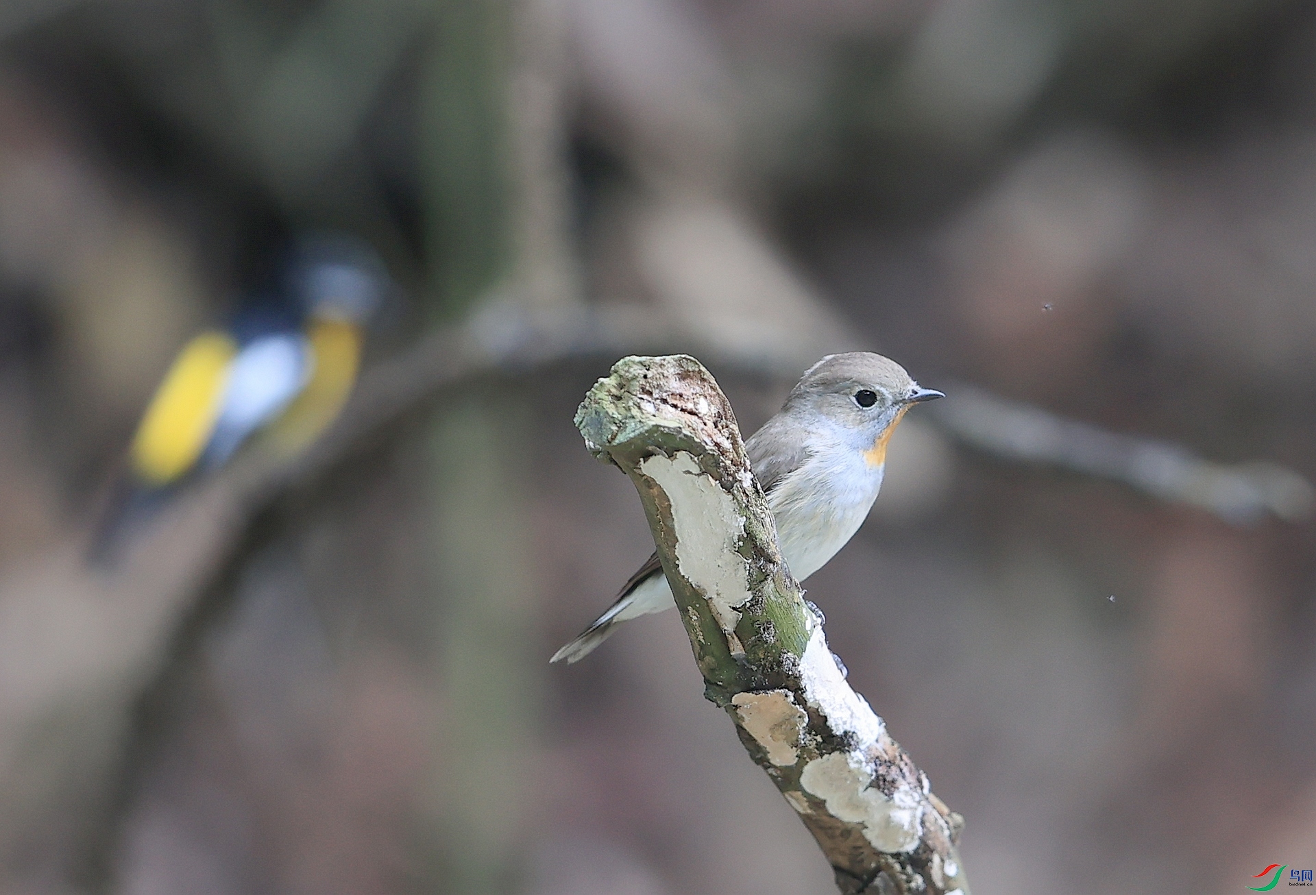 AK1I6776�� ��1.JPG