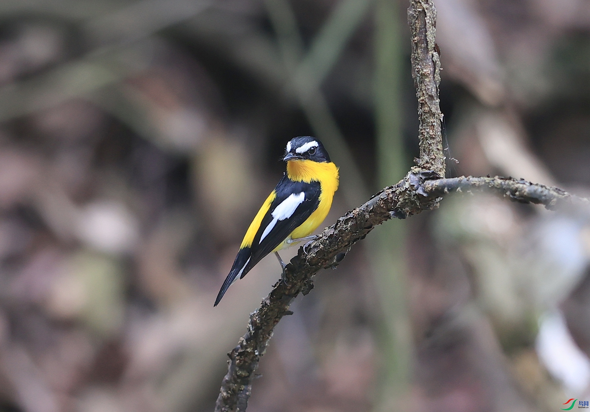 AK1I6780�� ��2.JPG