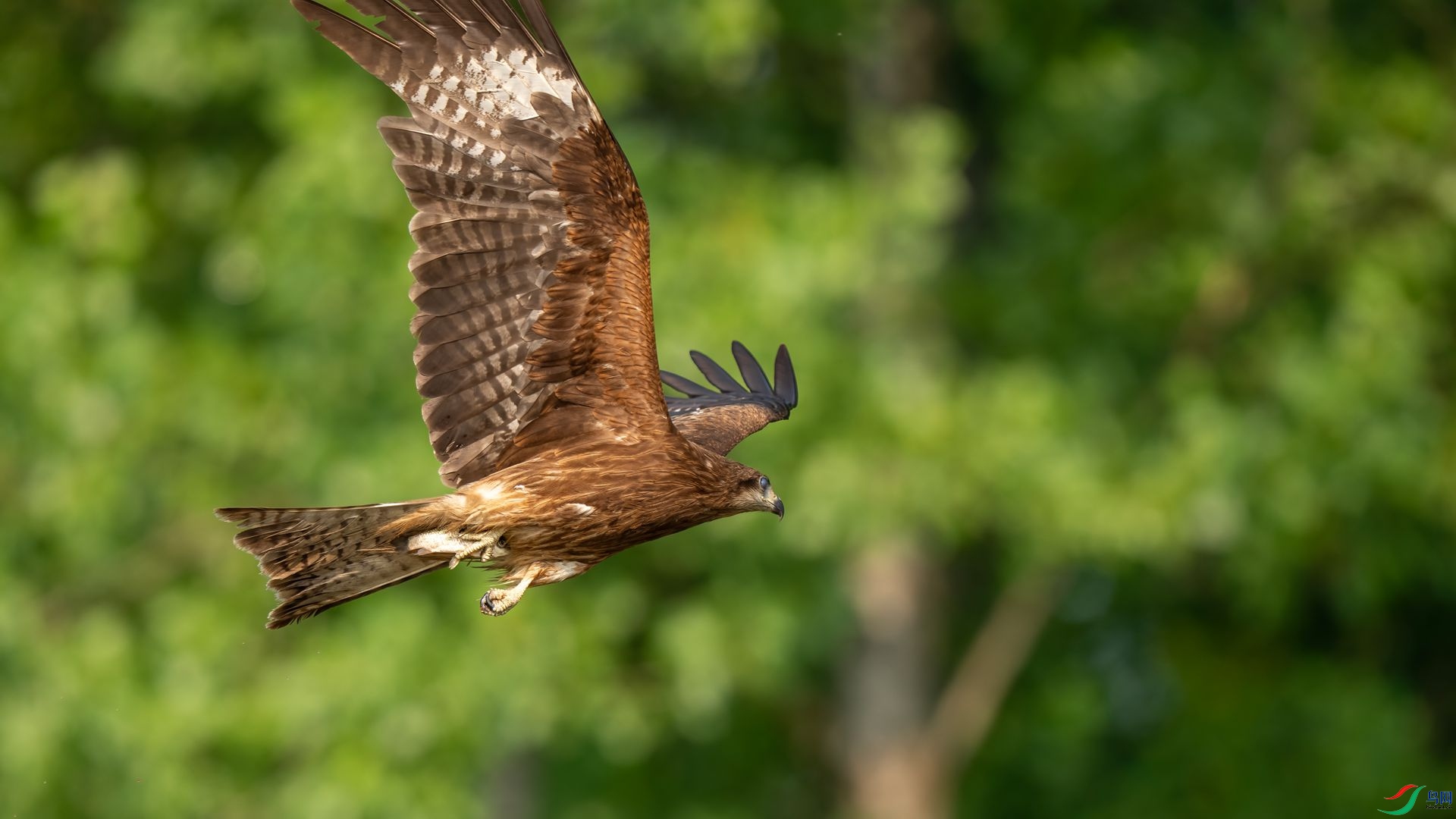 DSC06779 ����.jpg