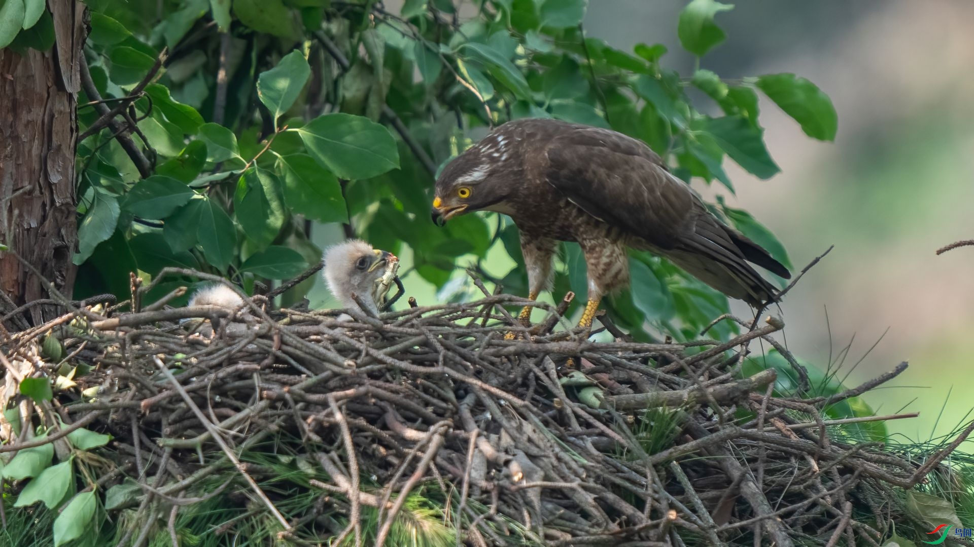 DSC04822 ����.jpg