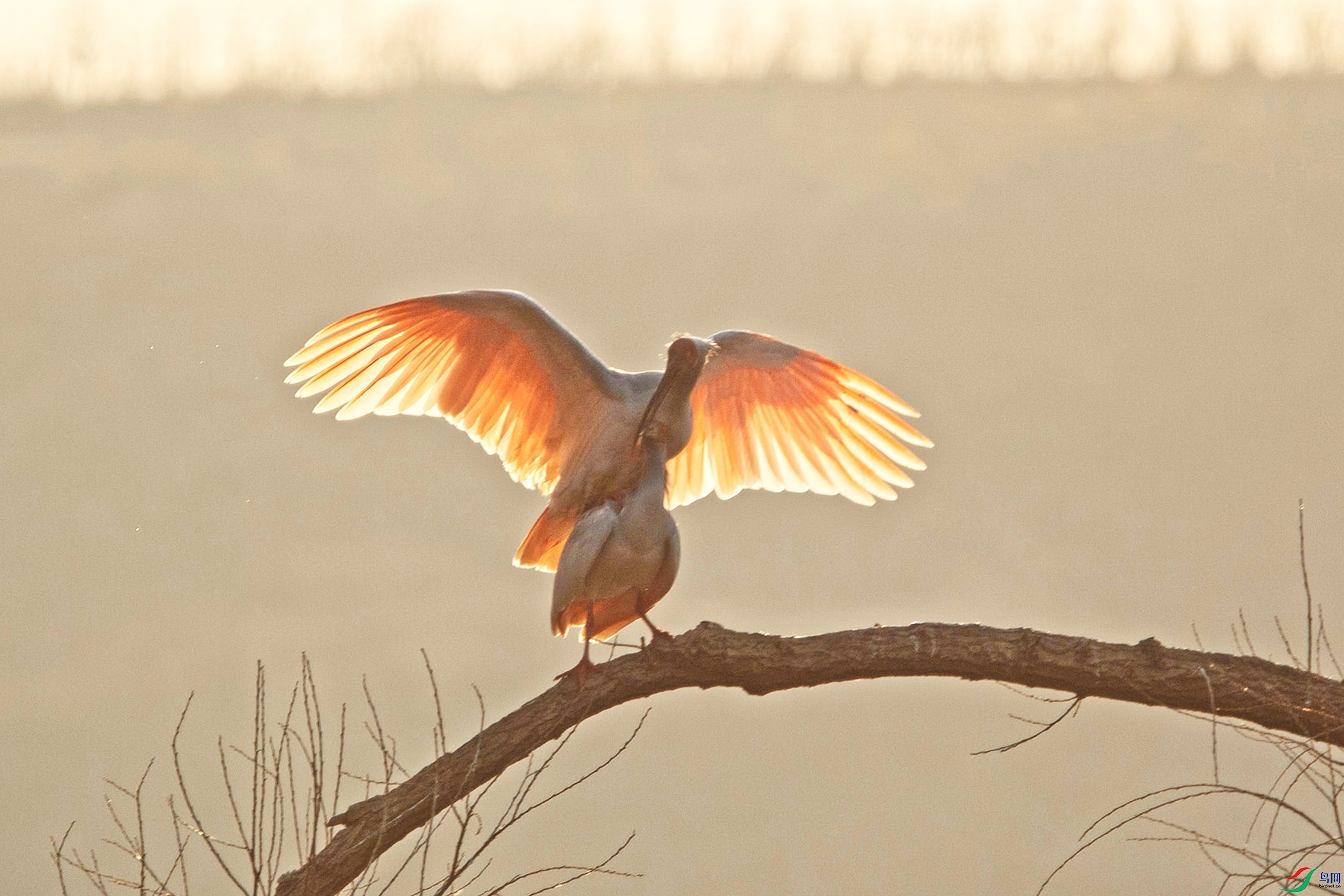 ��֡ 2026-02-03 205846_1.4.1 ����.jpg