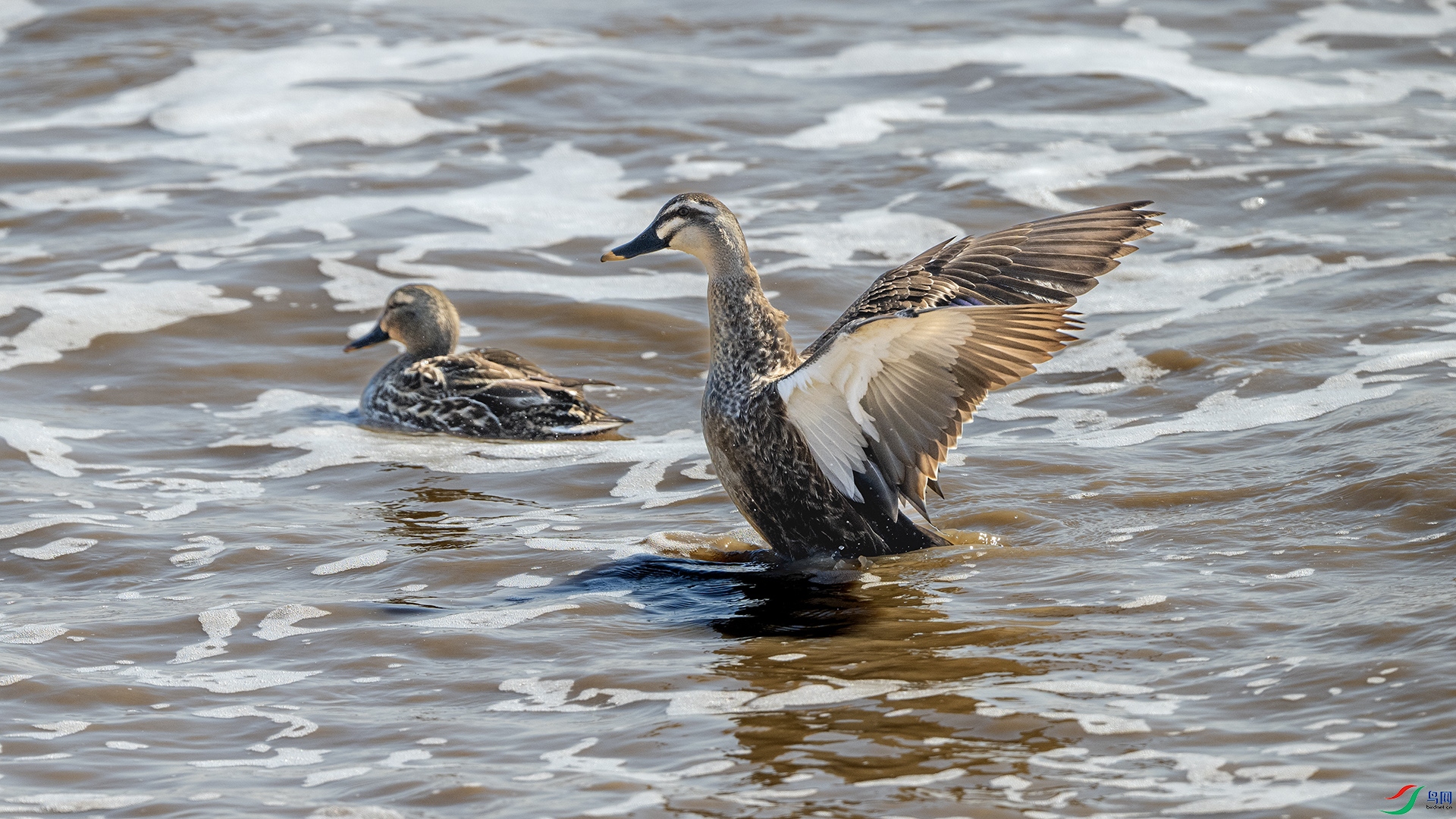 DSC_5560 ����.jpg