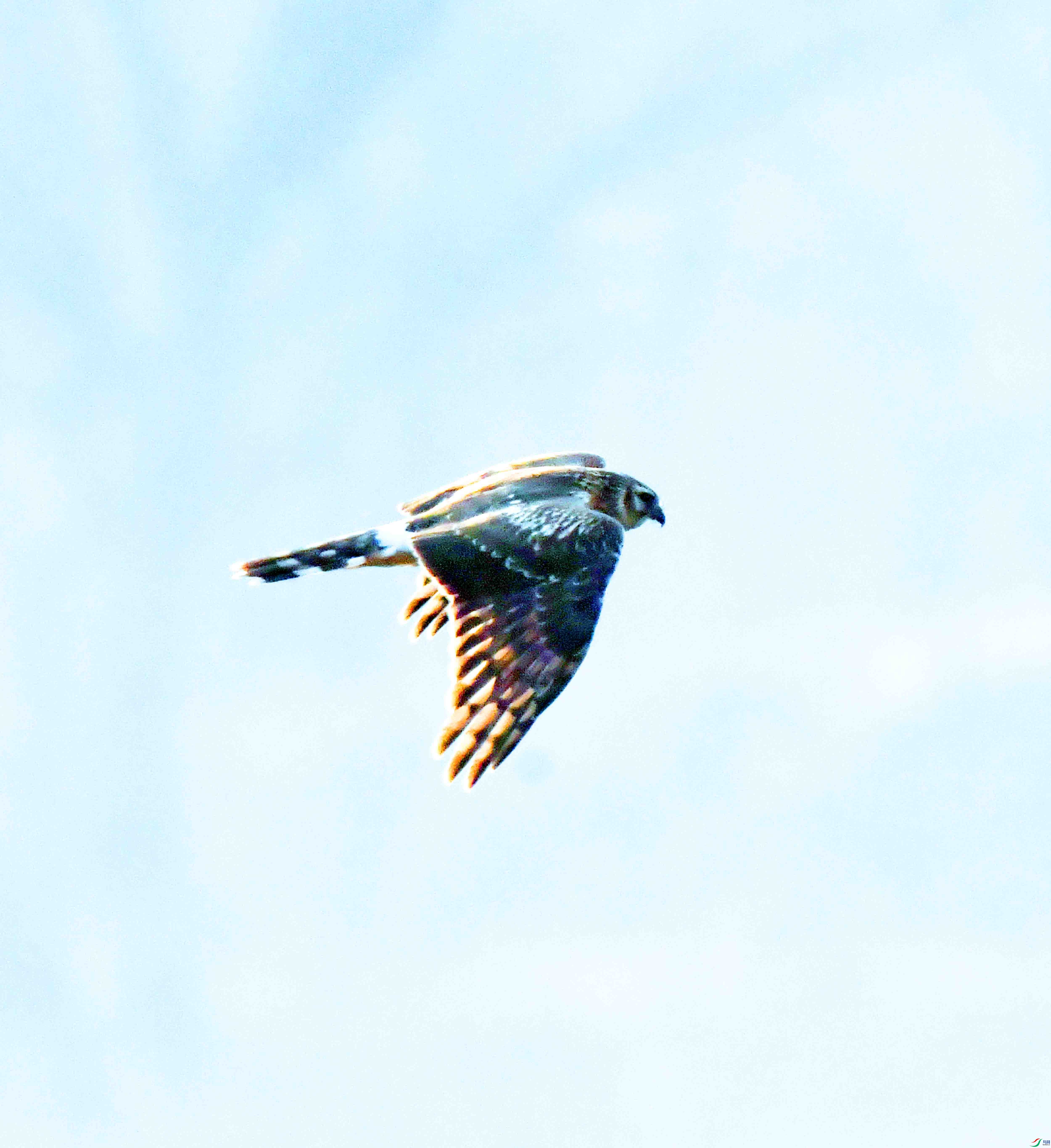 DSC_6214.JPG