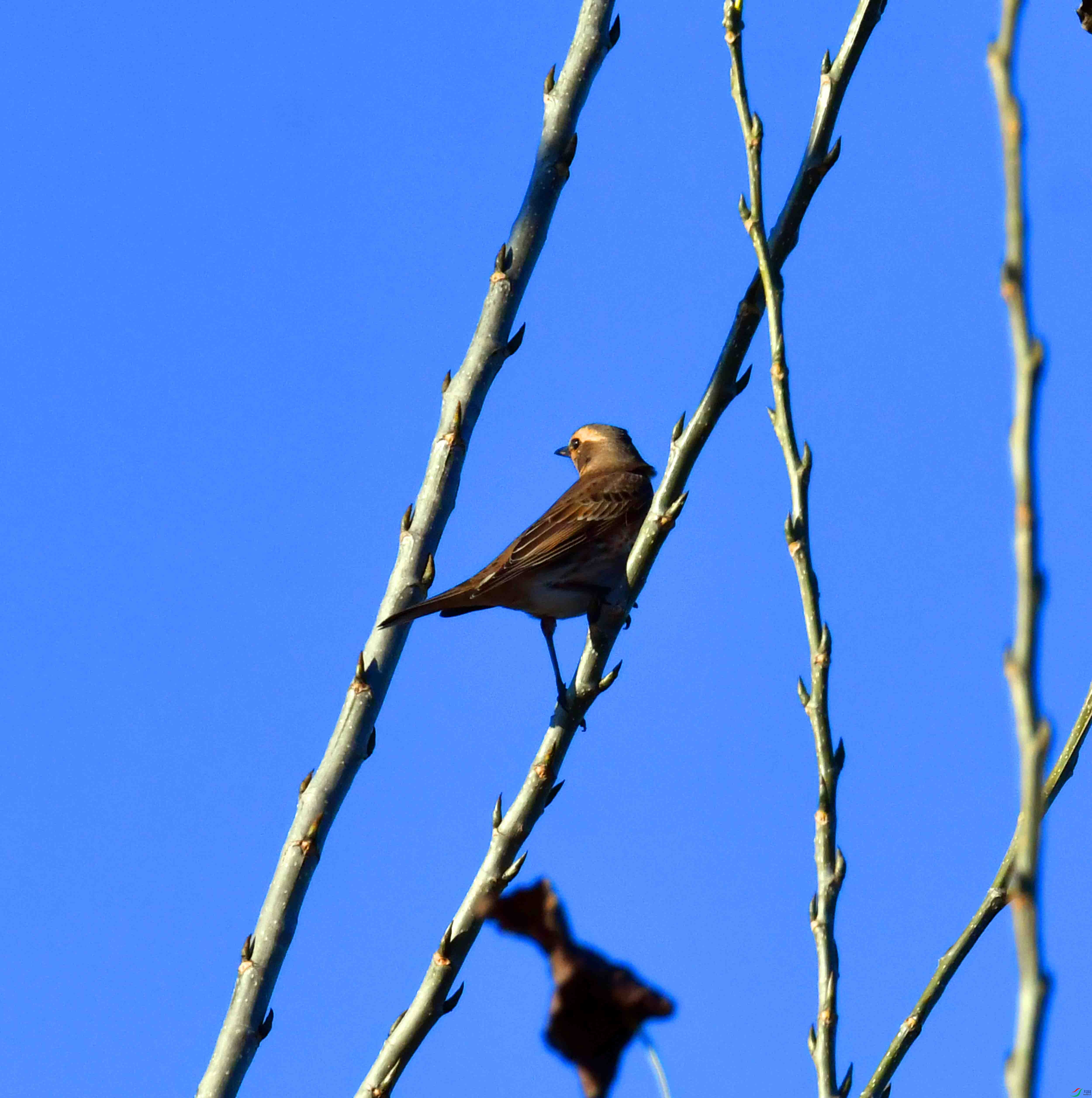 DSC_5142.JPG