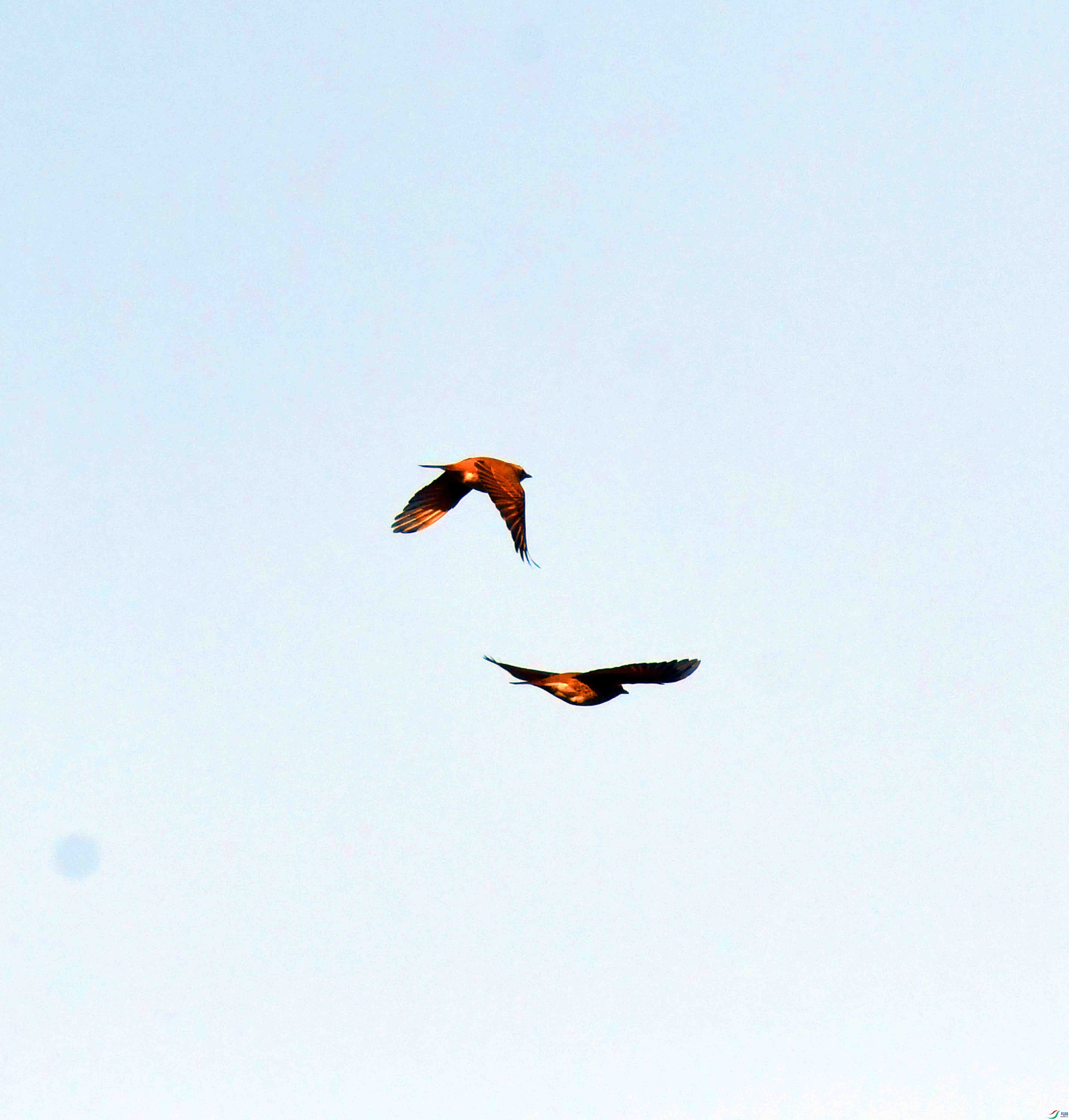 DSC_5157.JPG