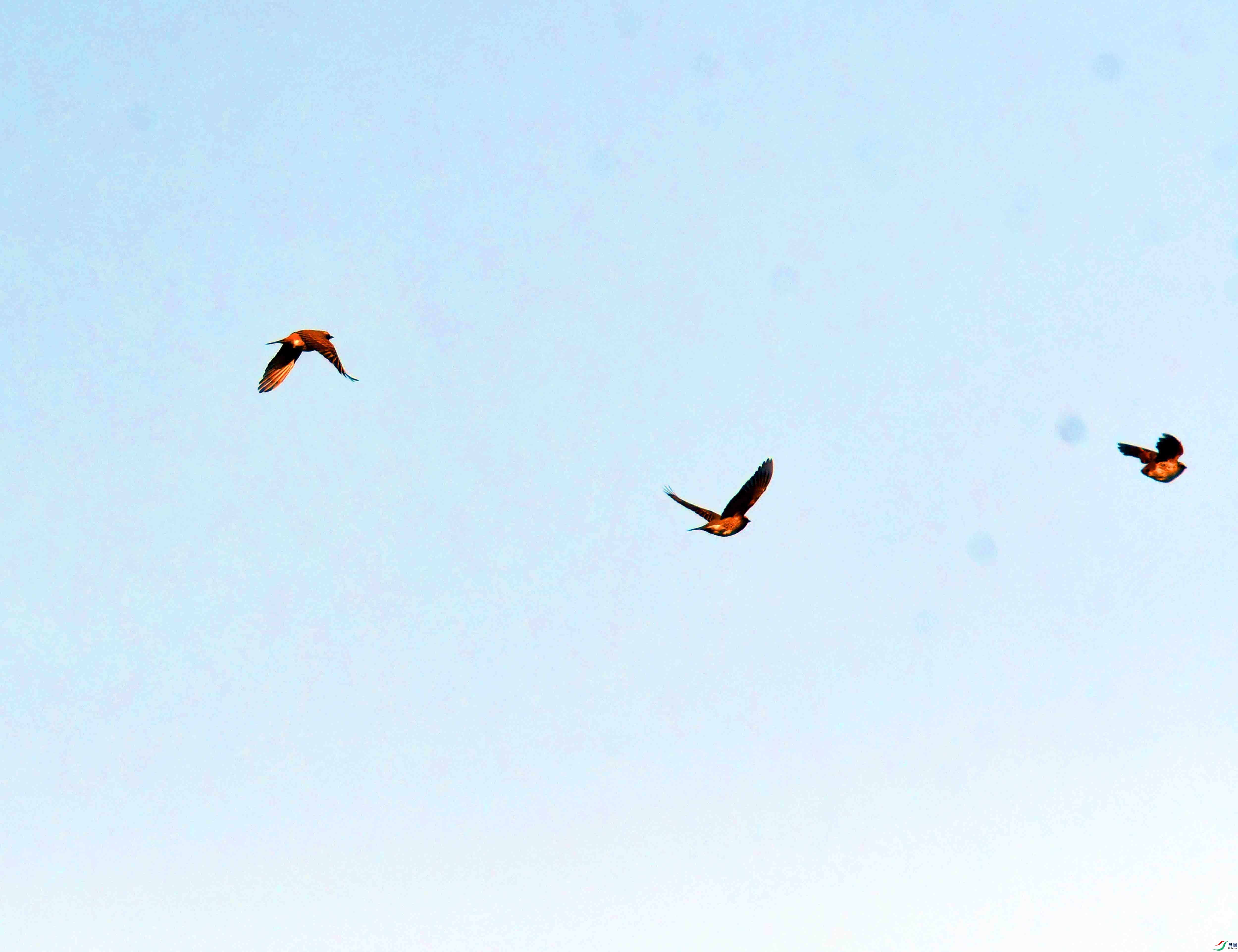 DSC_5159.JPG