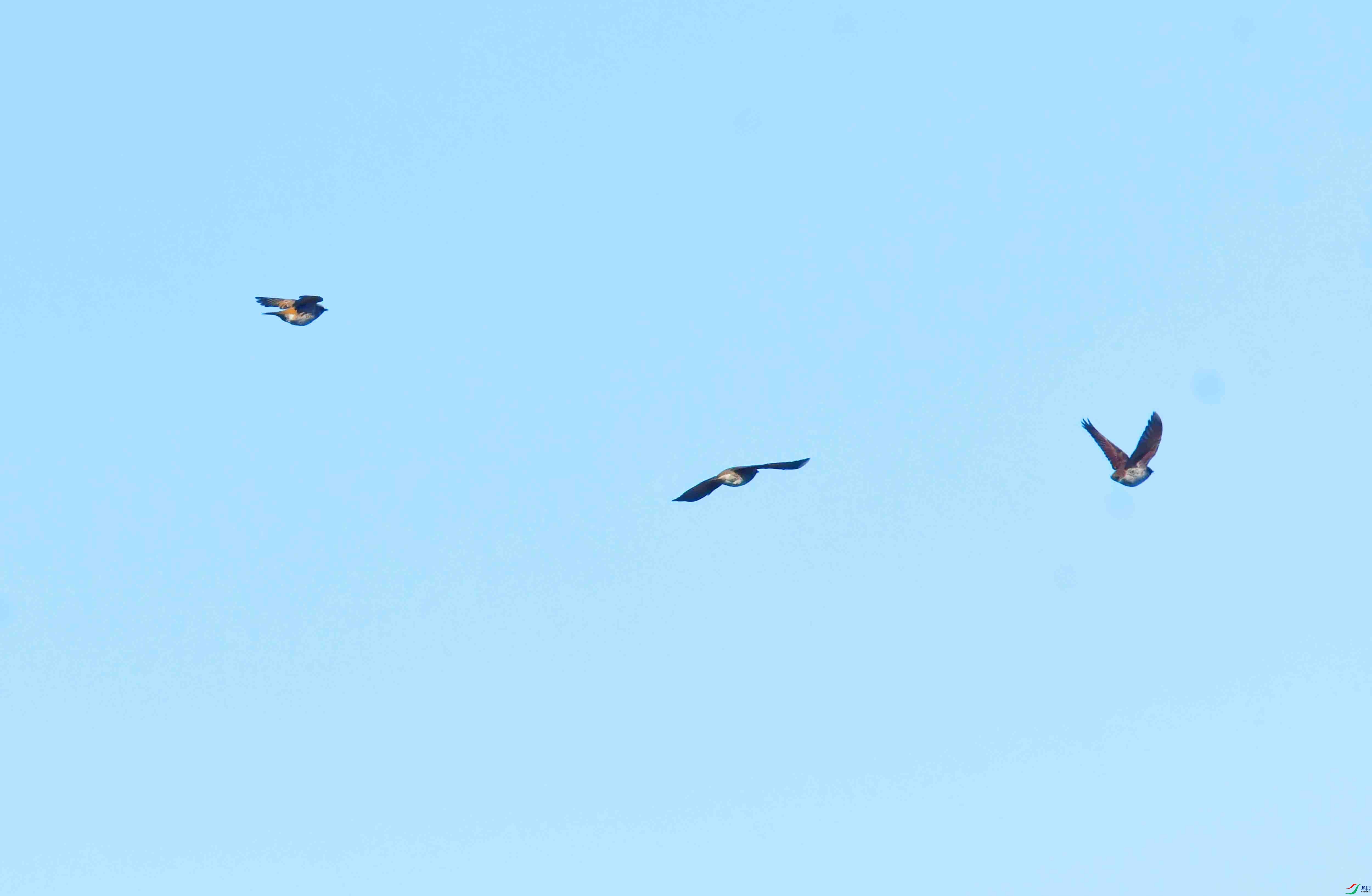 DSC_5160.JPG
