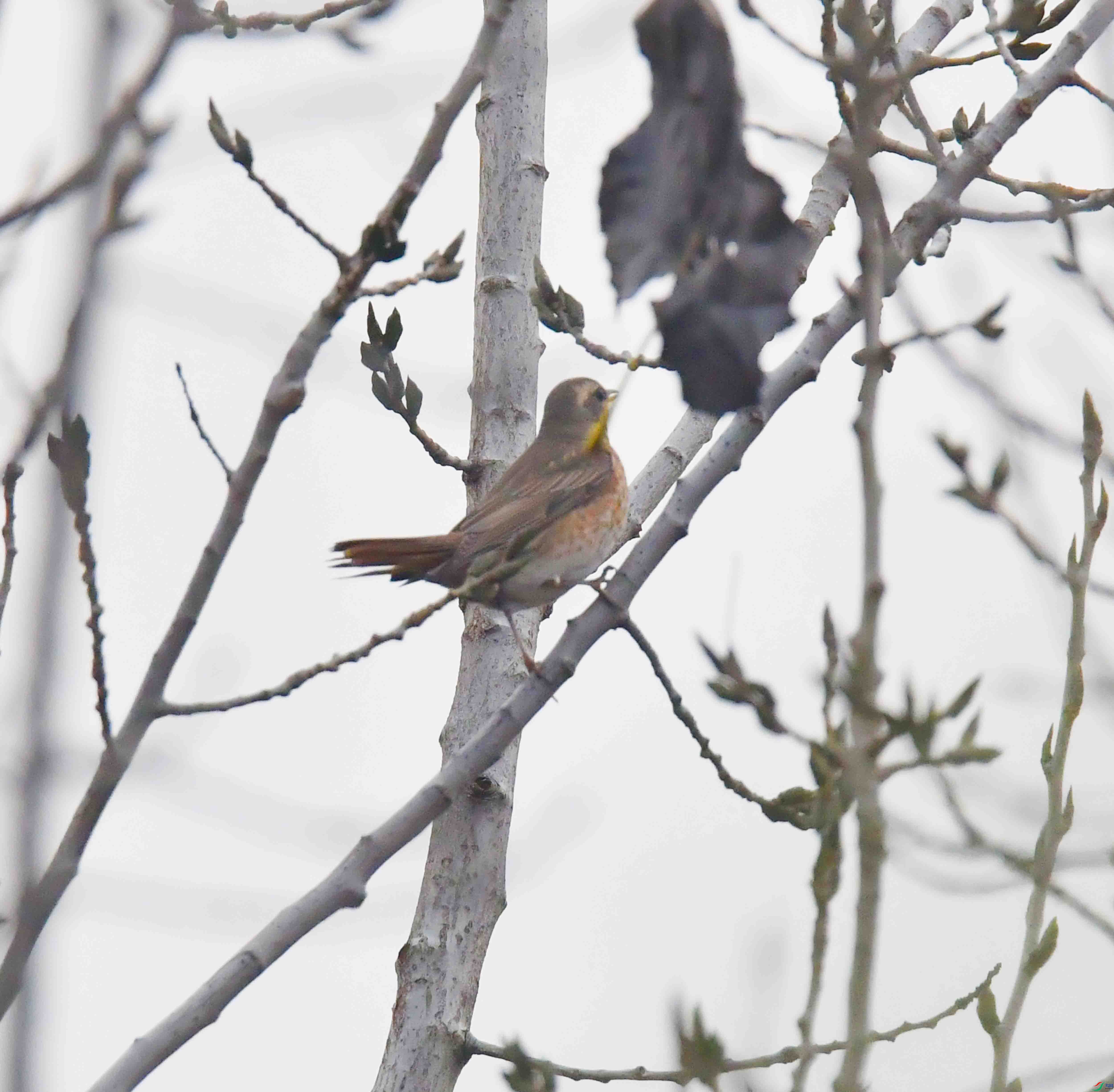 DSC_7258.JPG