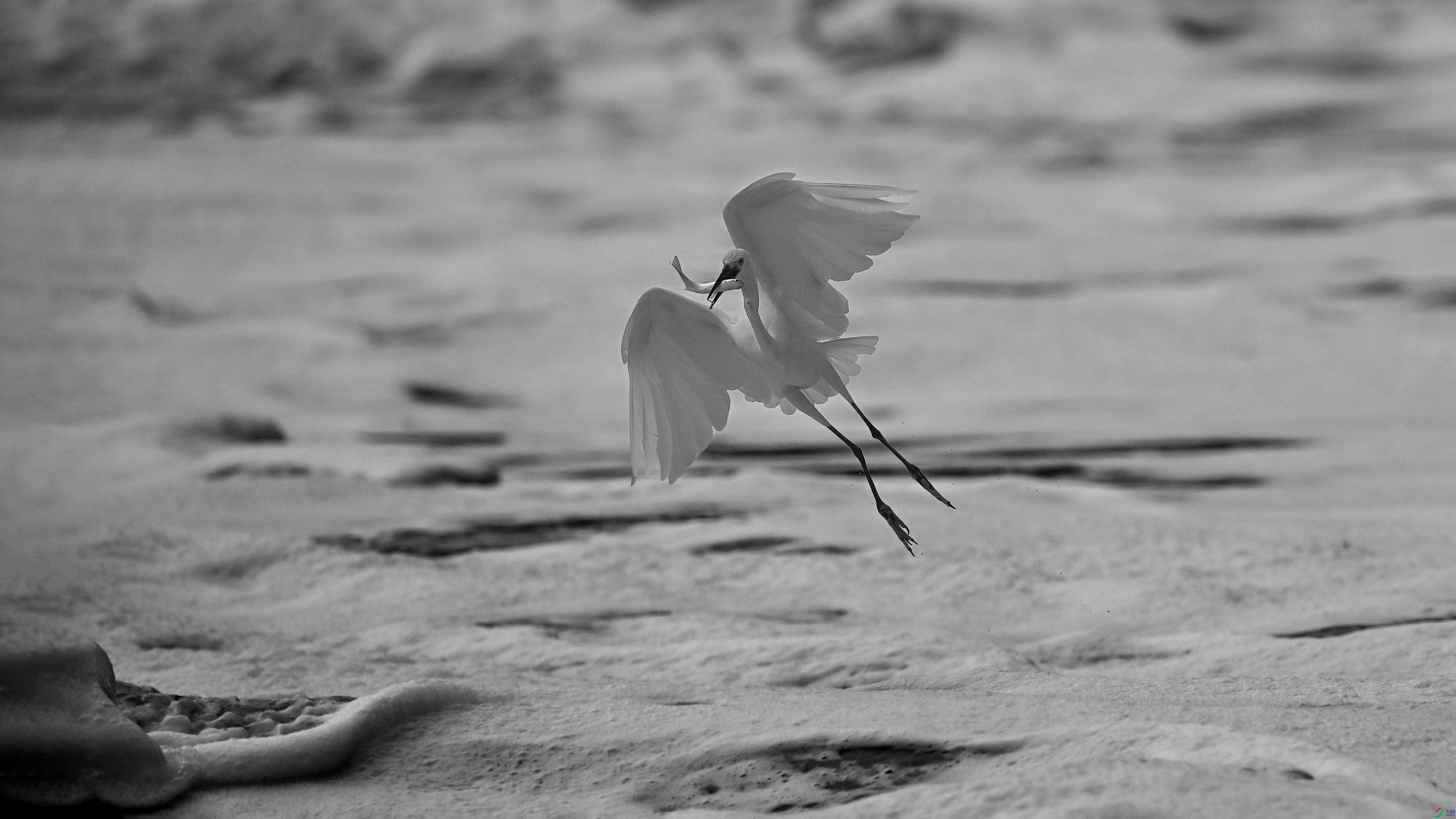 DSC_7235.jpg