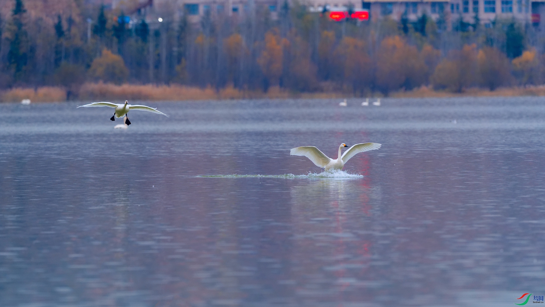 DSC_5686_DxOa.jpg