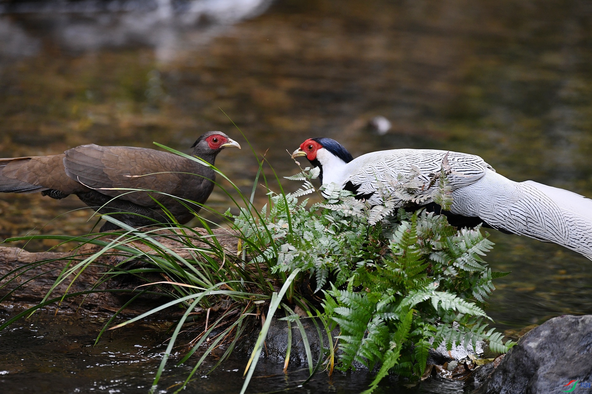 DSC_3116.jpg