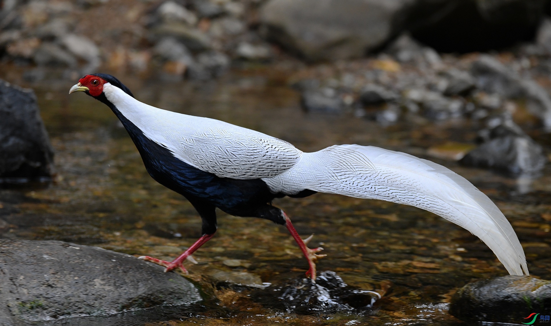DSC_3177.jpg