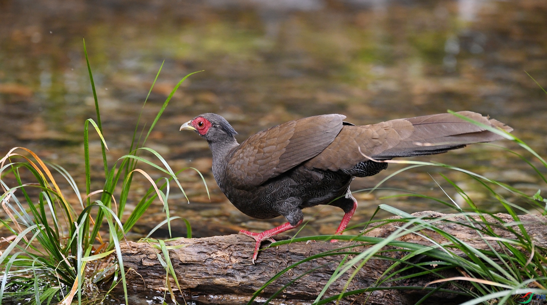 DSC_3130.jpg