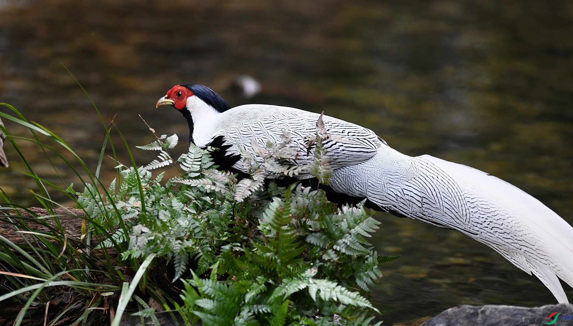 DSC_3127.jpg