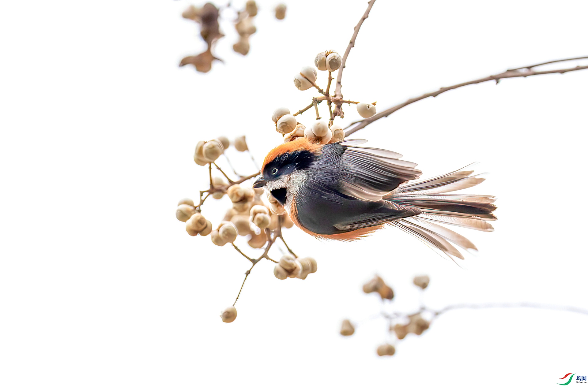 407A6907------3333  .jpg