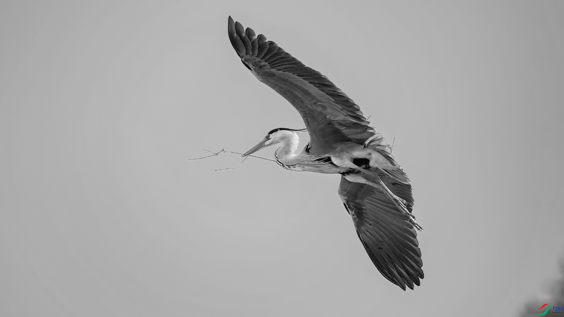 _DSC3338-20250910�� .jpg