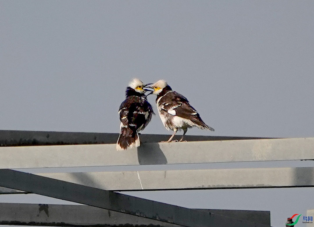 DSC00744.JPG