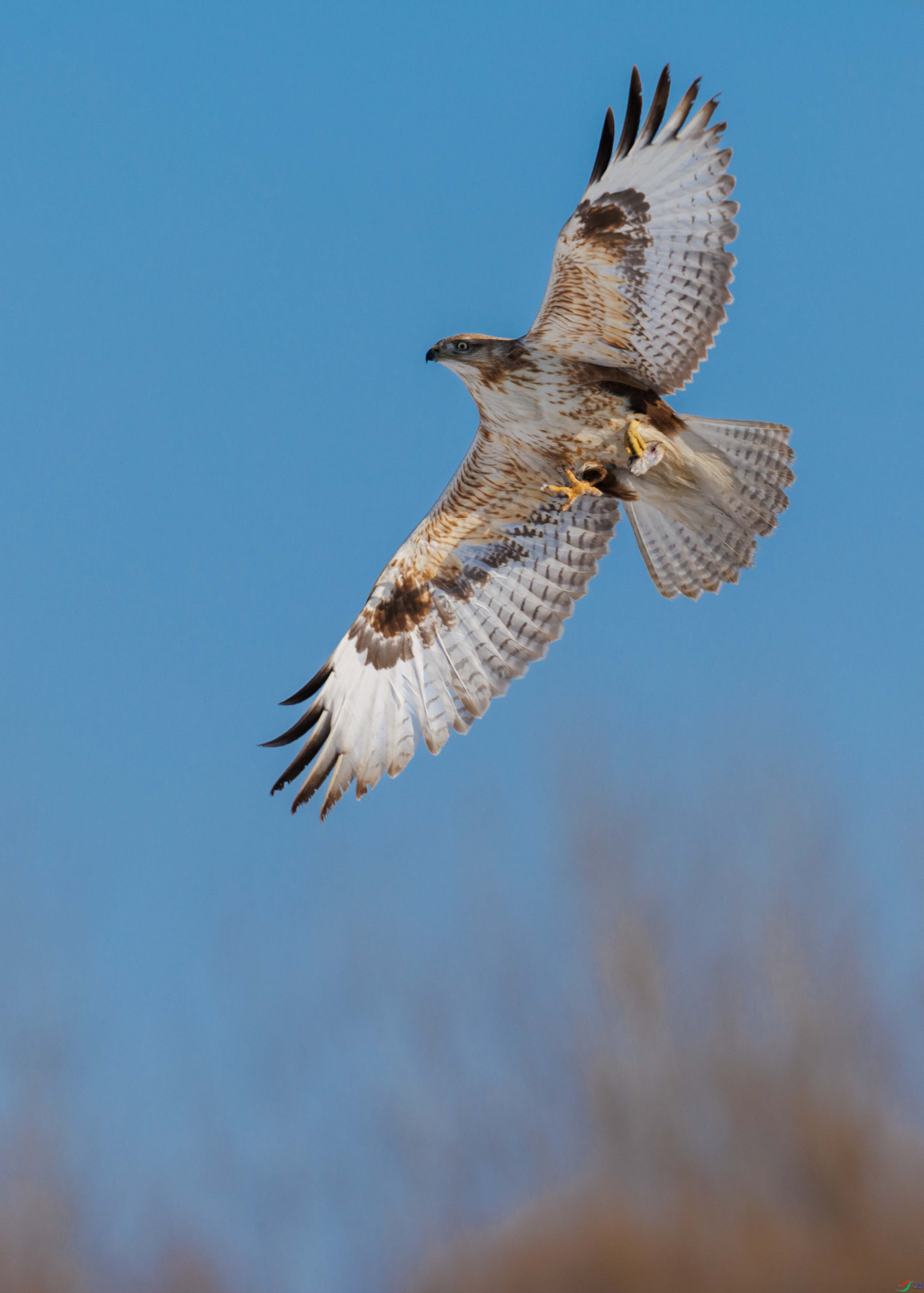 ����չ��