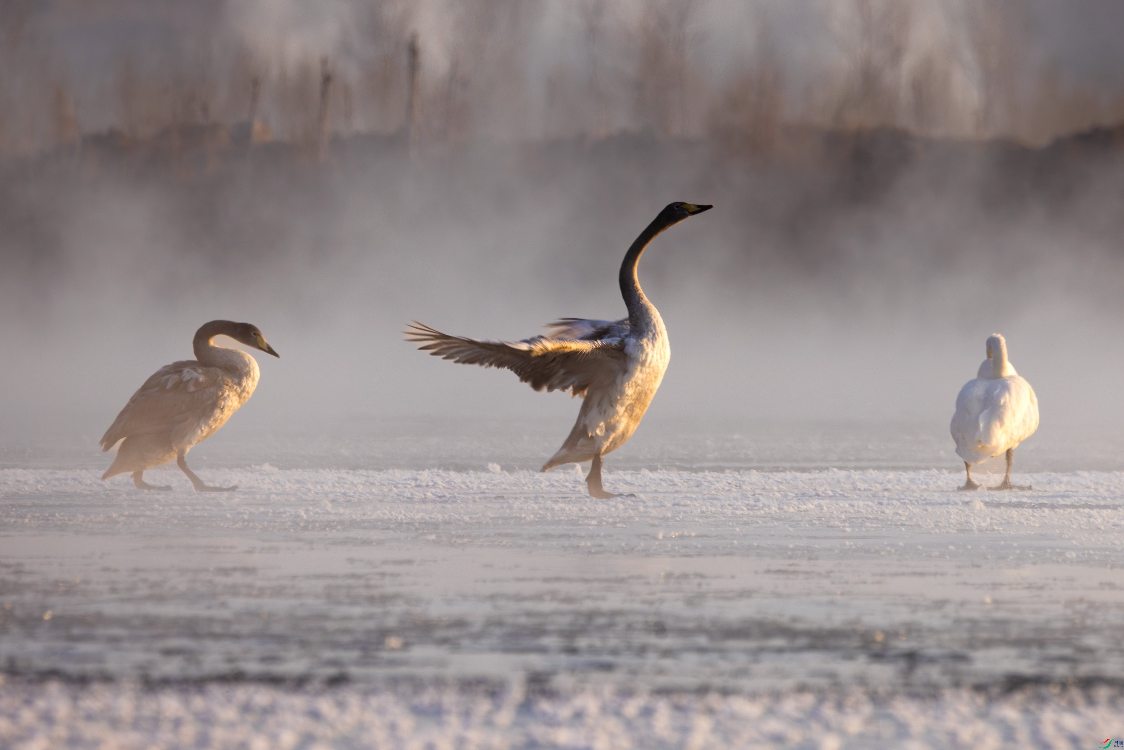 �������