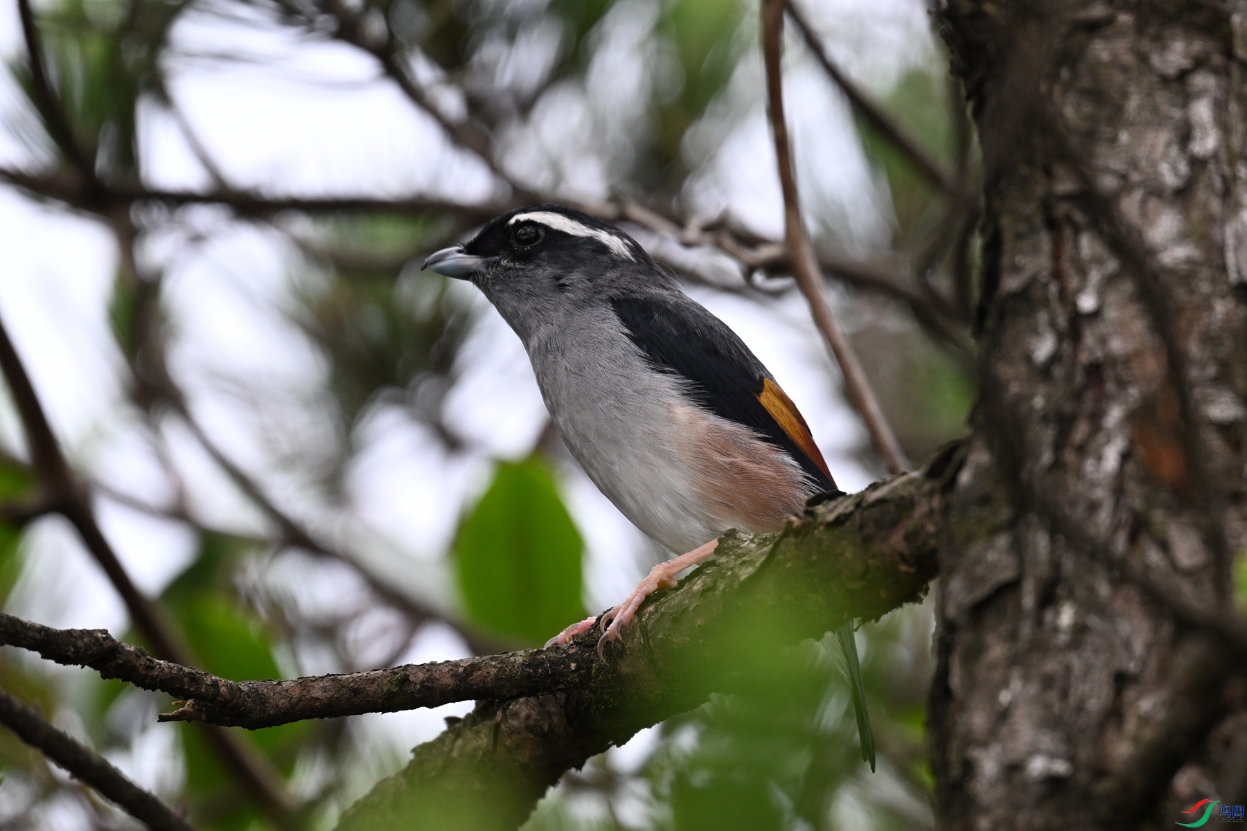 DSC_0662.JPG