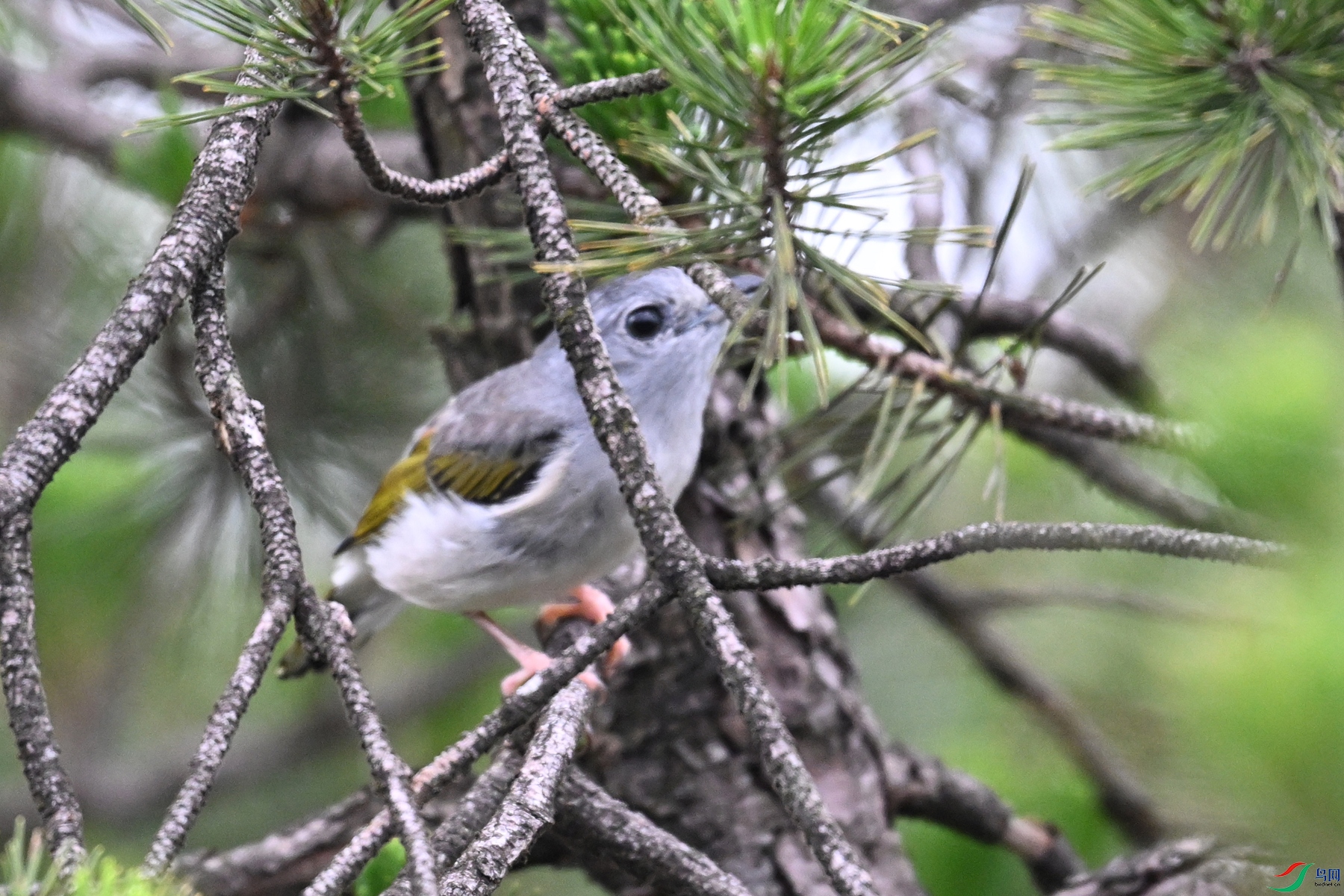 DSC_0693.JPG