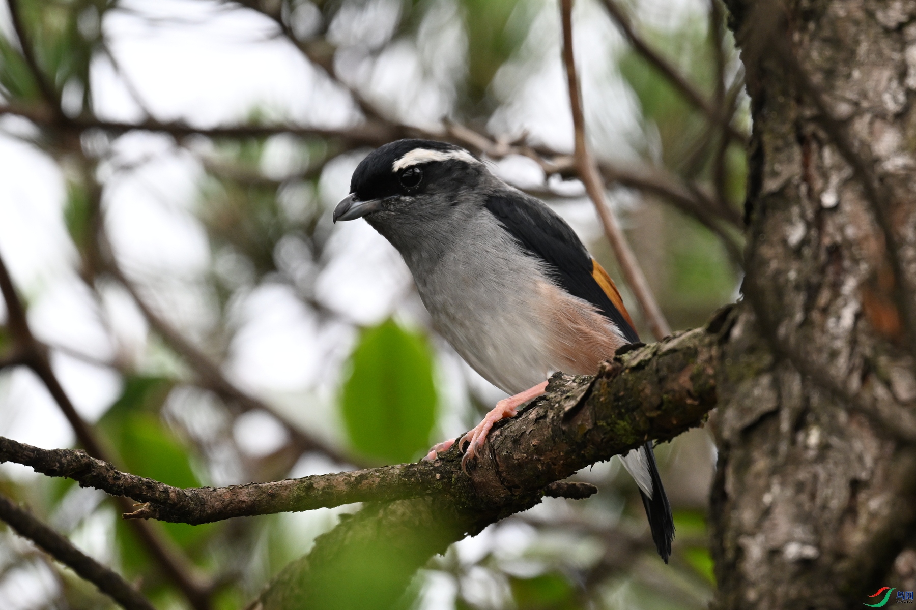 DSC_0672.JPG