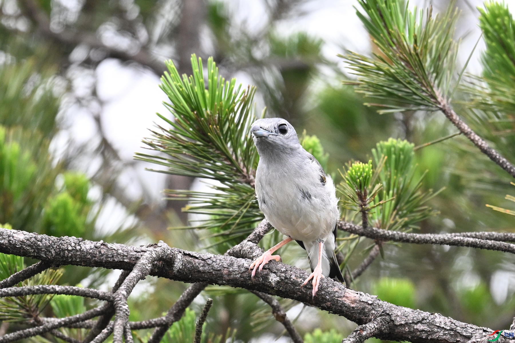 DSC_0697.JPG