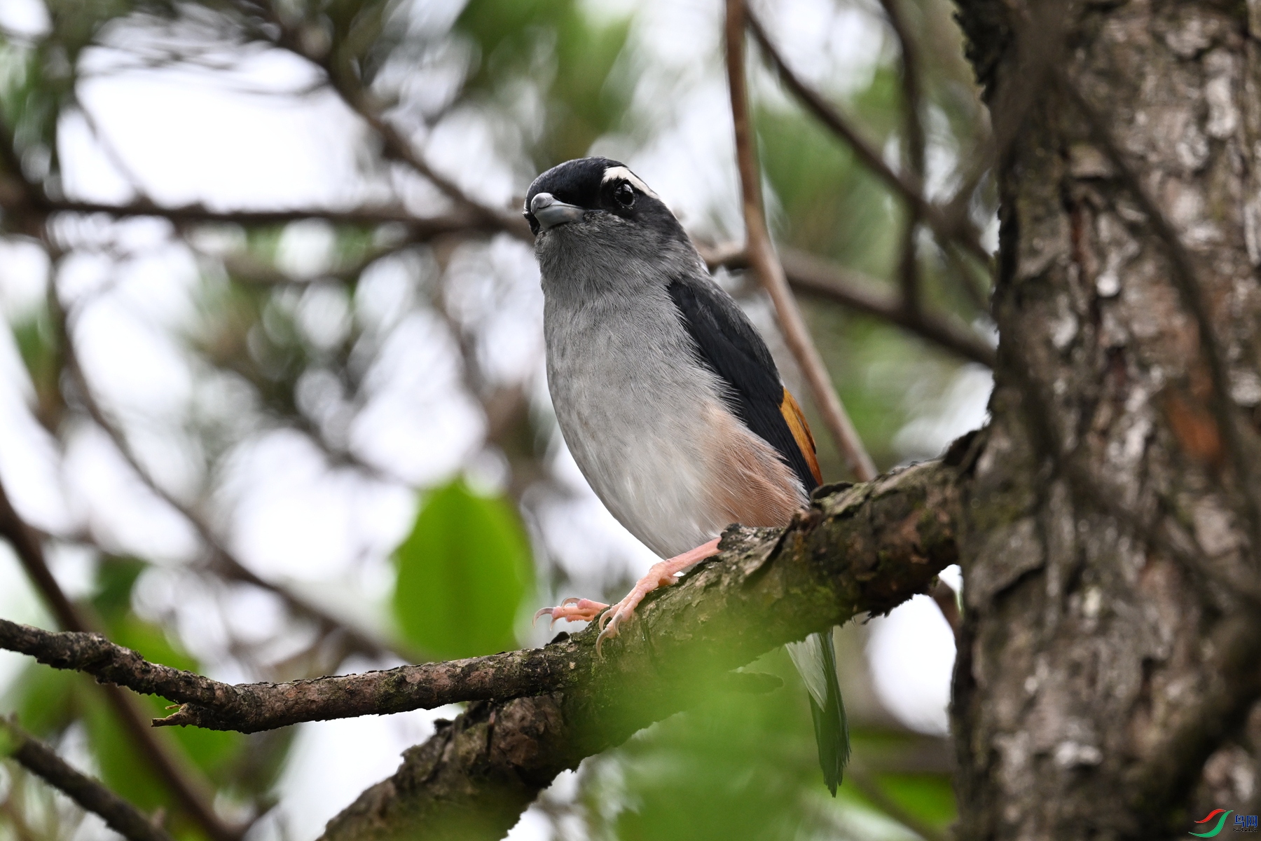 DSC_0675.JPG