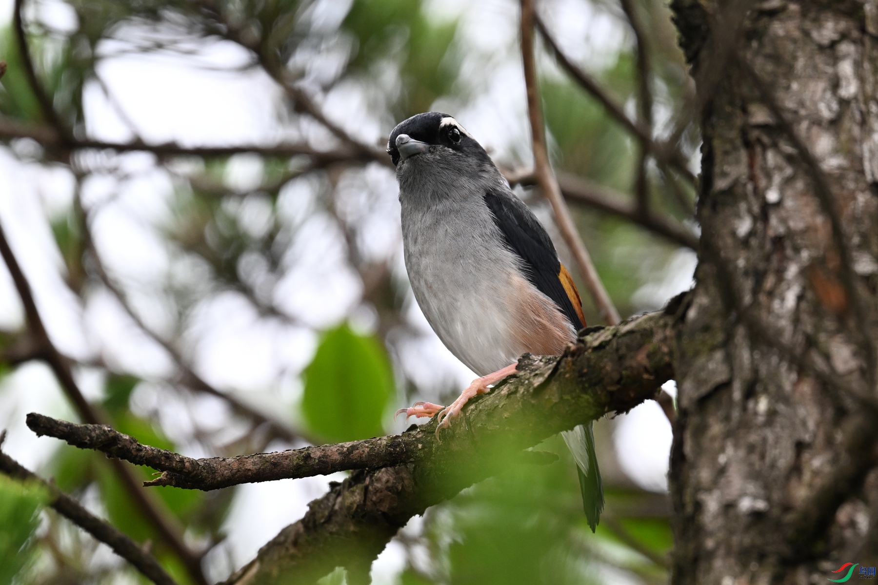 DSC_0676.JPG
