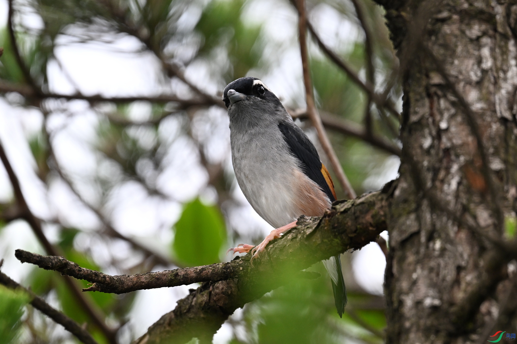 DSC_0678.JPG