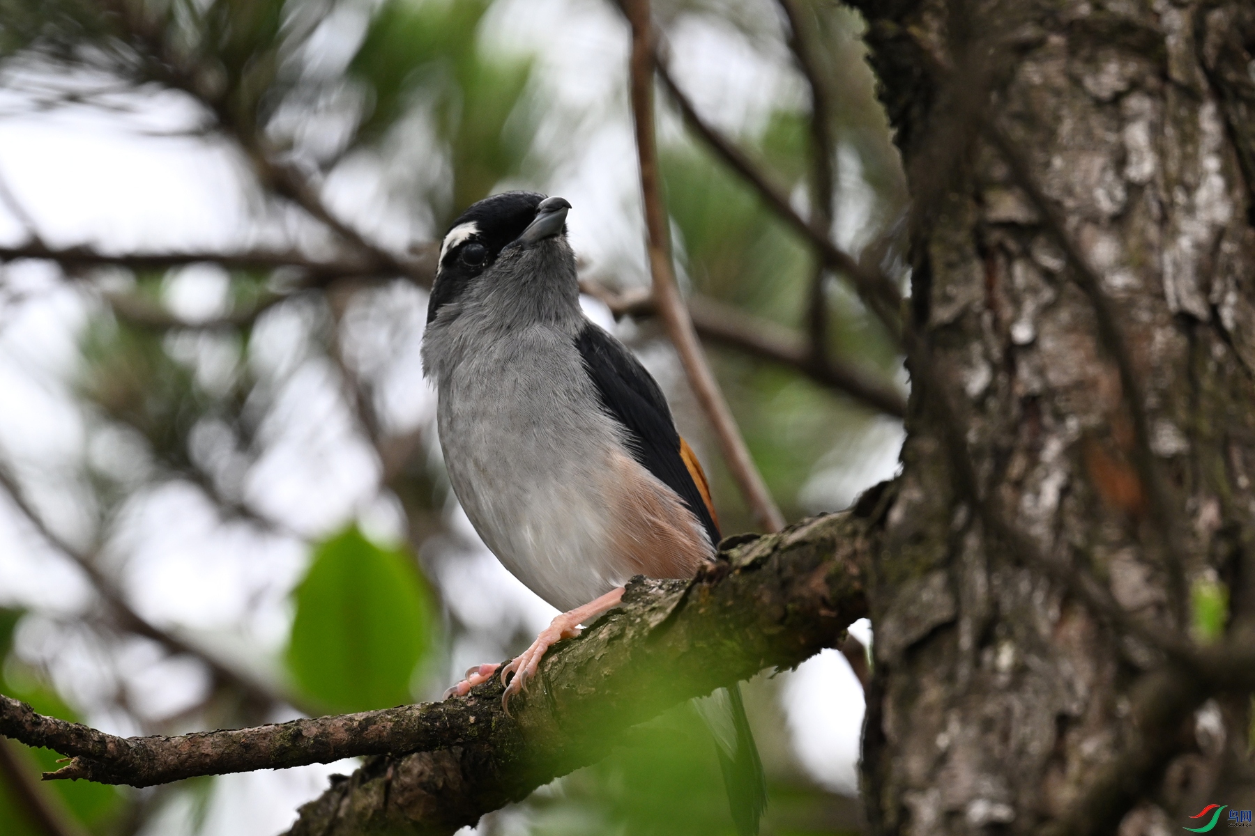DSC_0680.JPG
