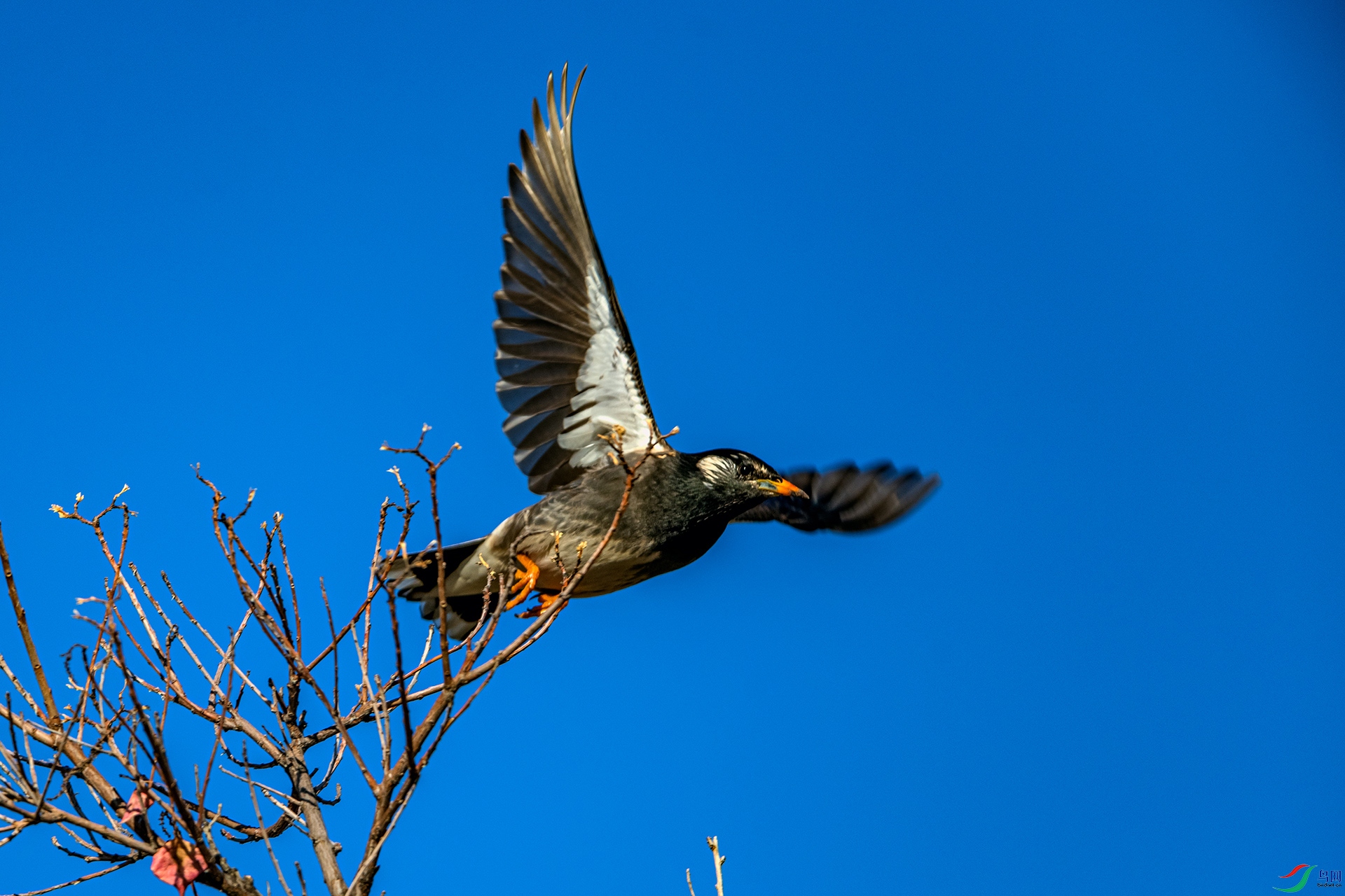 _AUU3067 �����(25.12.5).jpg