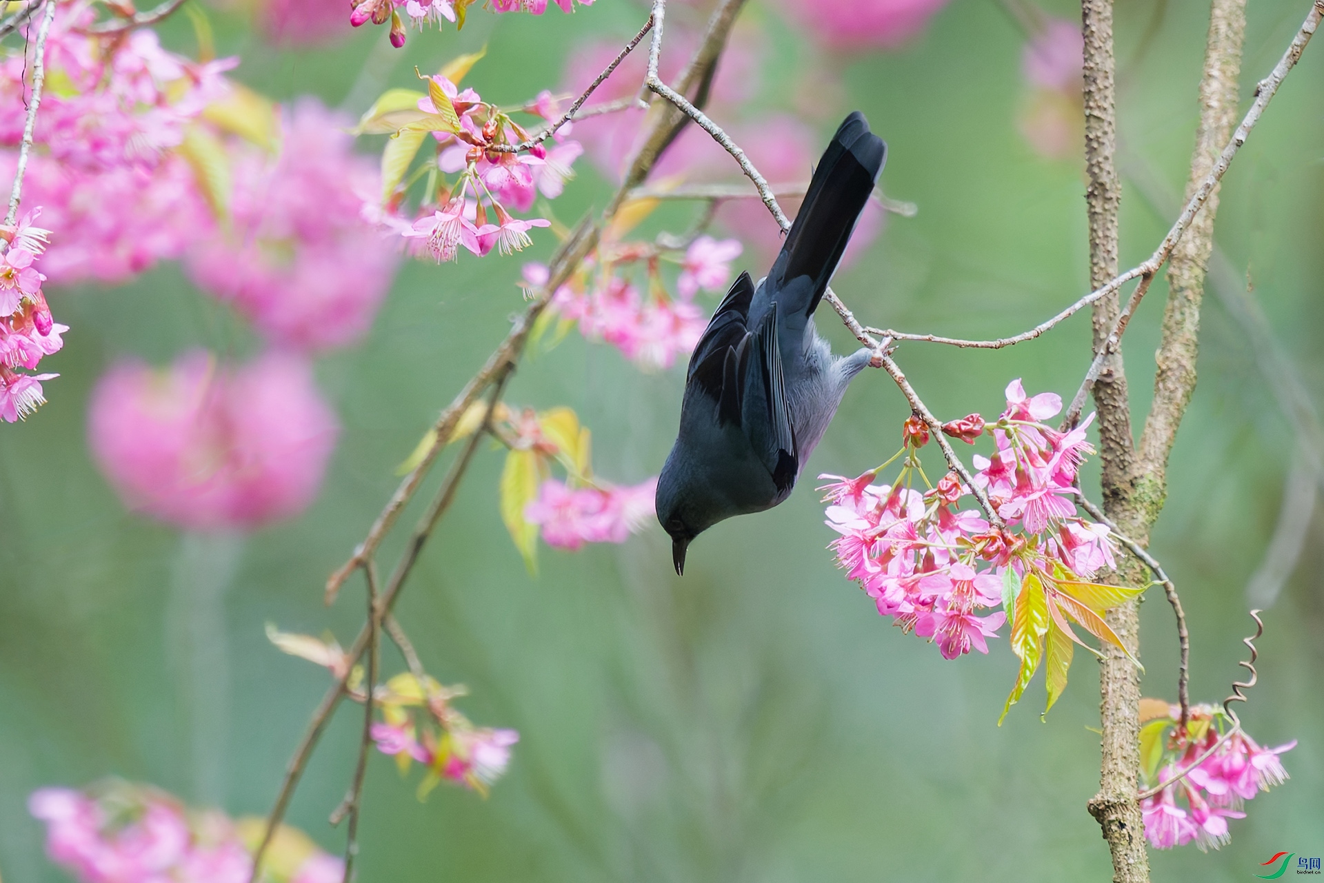 DSC_5481_DxO_DxOa.jpg