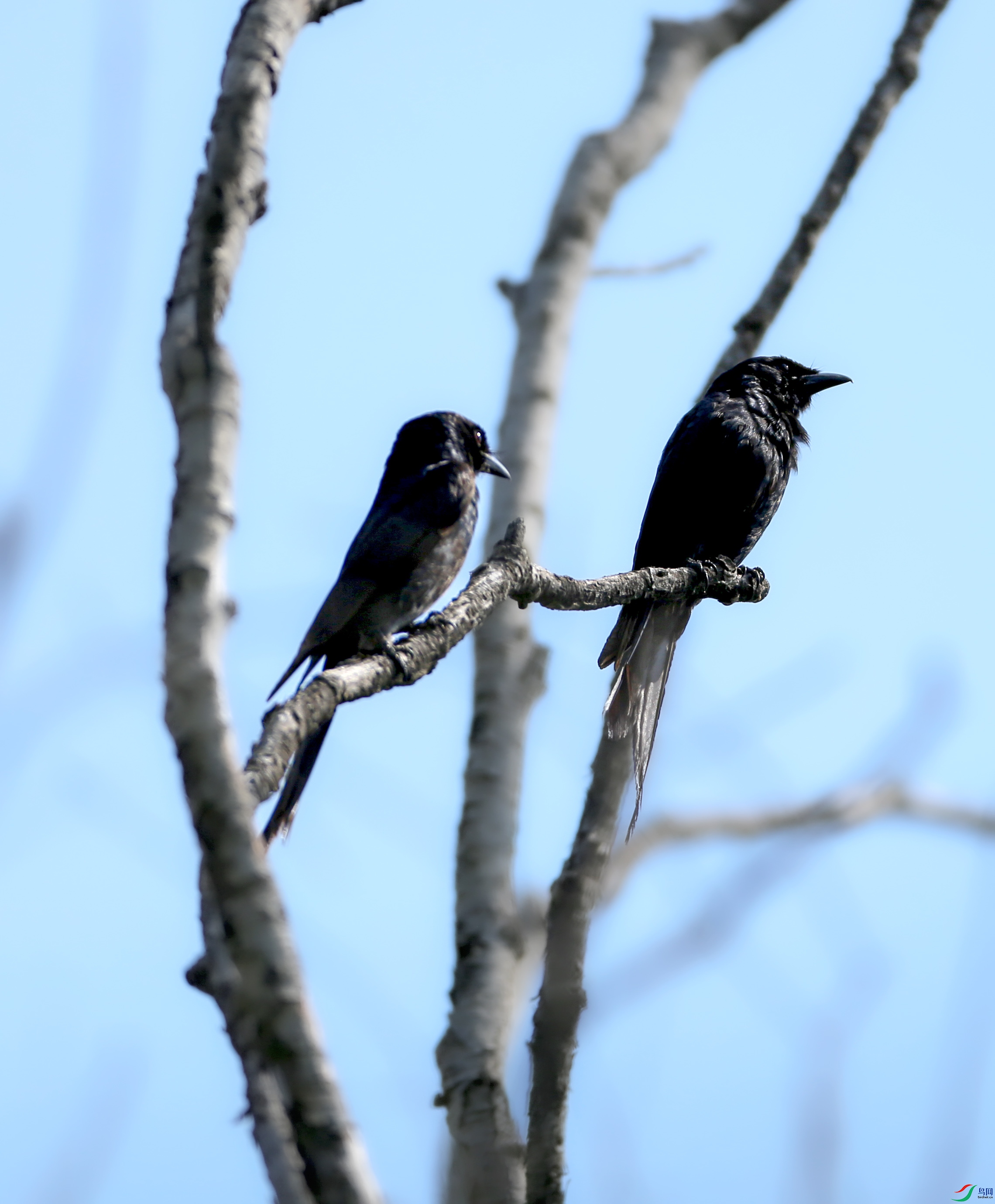 673A8106 ����.jpg