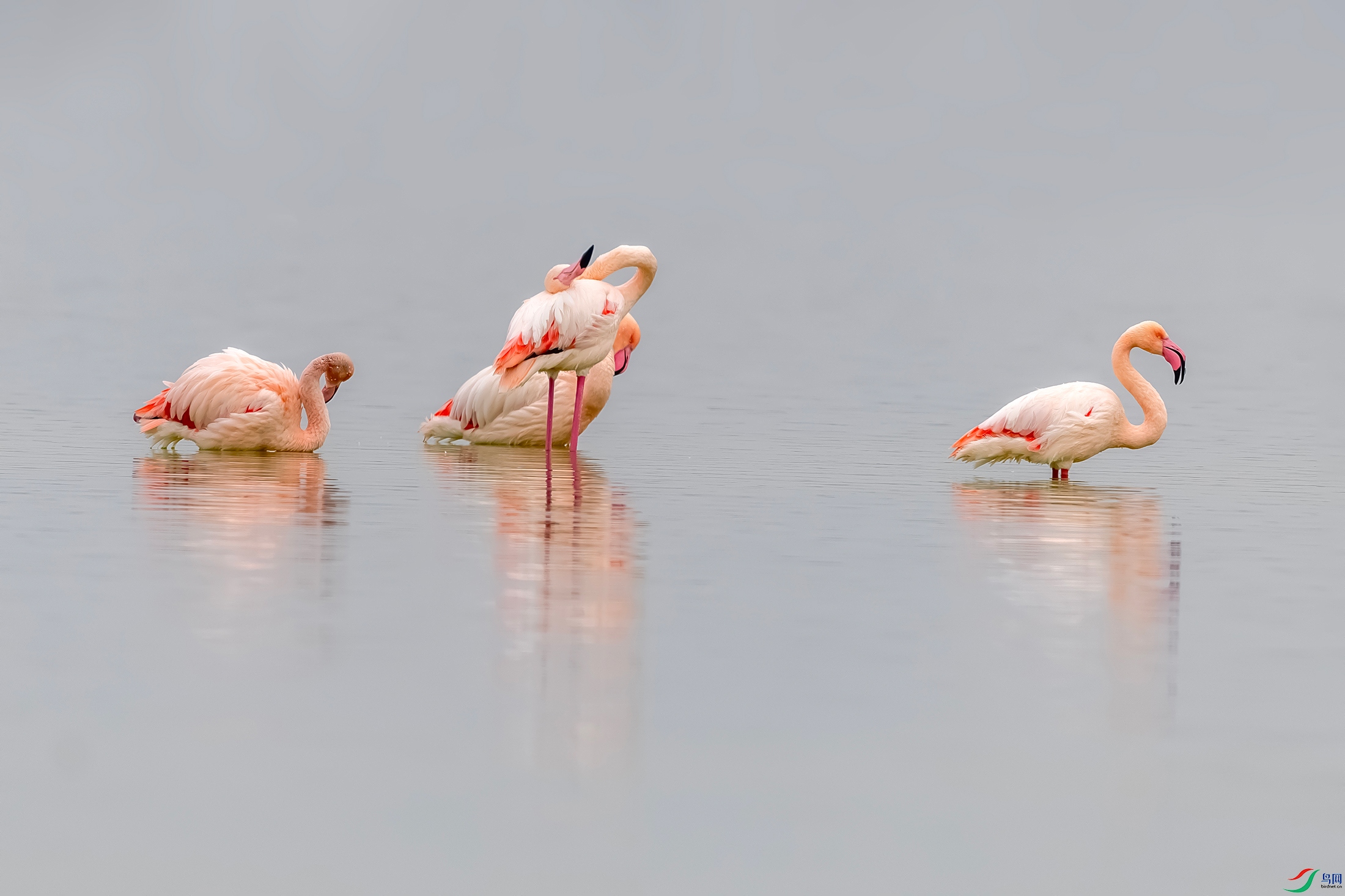 IMG_2108 ����.jpg