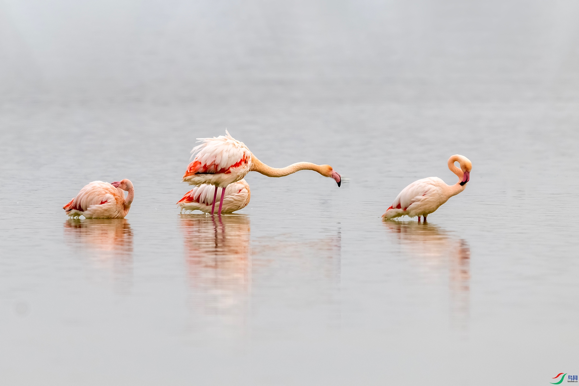 IMG_2169 ����.jpg